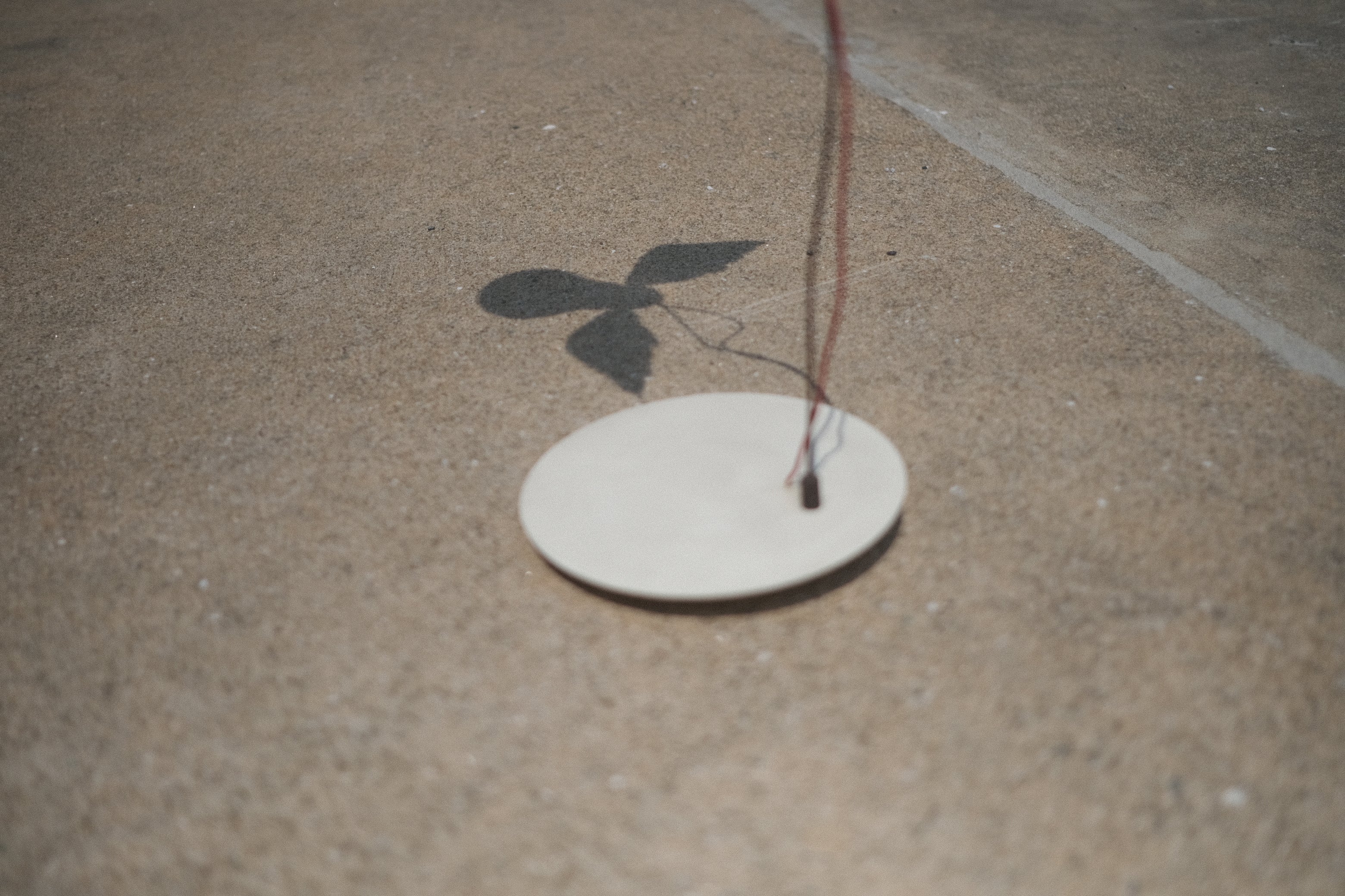 時間が自由になったあと、商いと文章について考えたこと