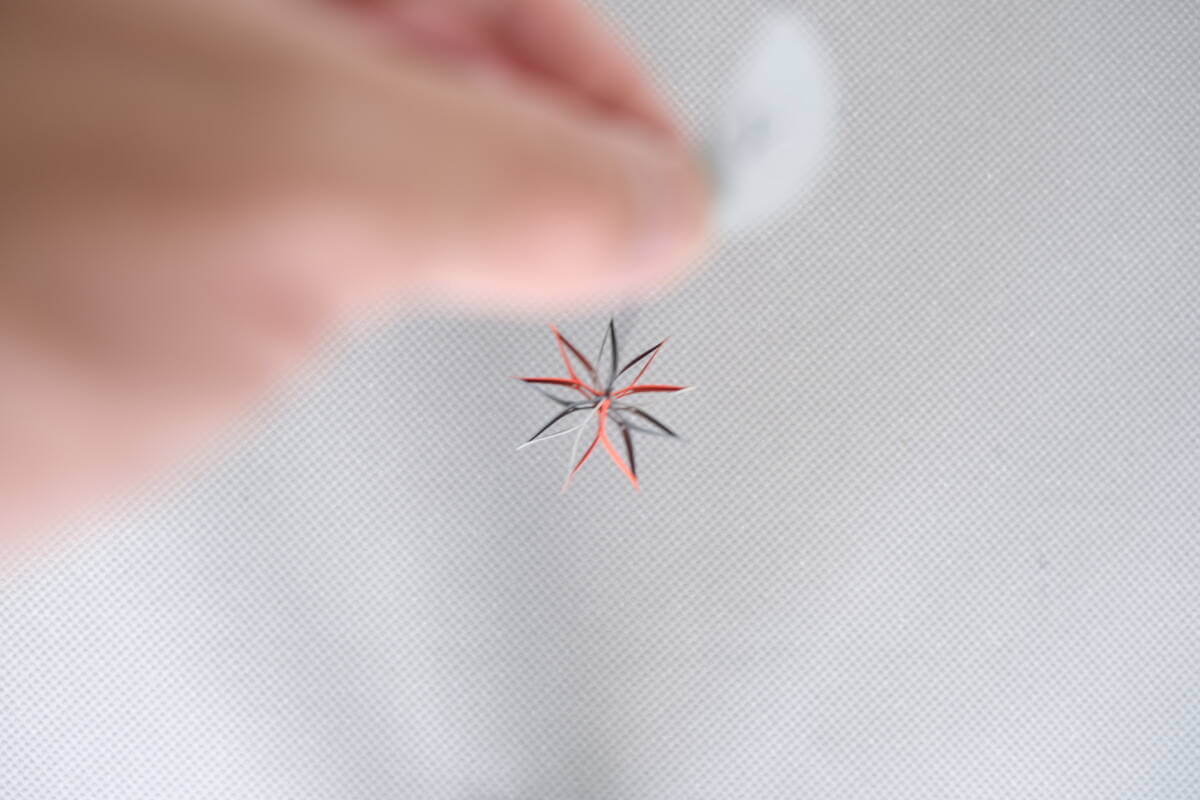 静けさを、暮らしの中へ。——選品舎が500点を削除した日