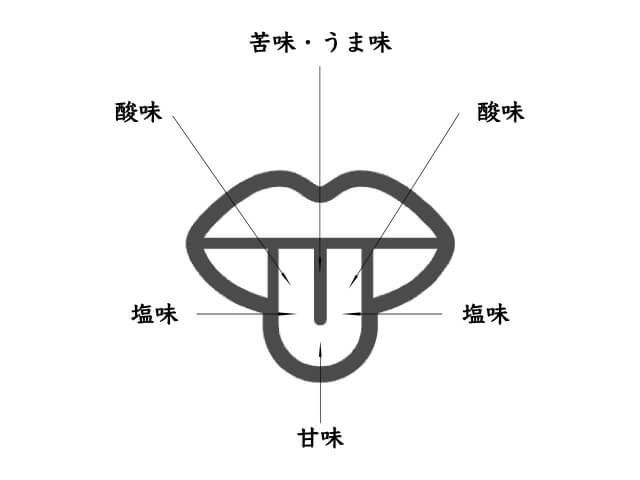 ネルドリップが教えてくれた、澄んだ珈琲と向き合うということ