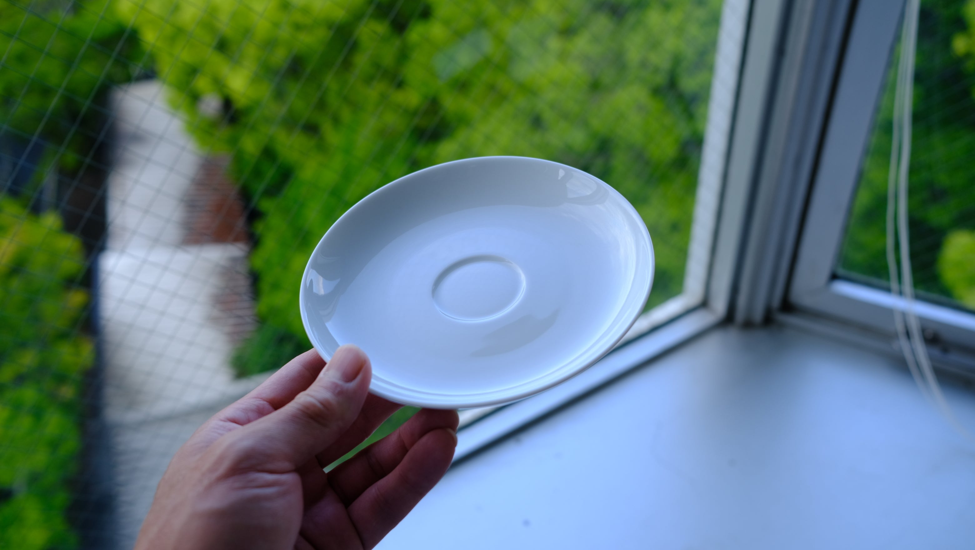 【希少・美品】ロイヤル コペンハーゲン デミタス カップ&ソーサー 2客セット