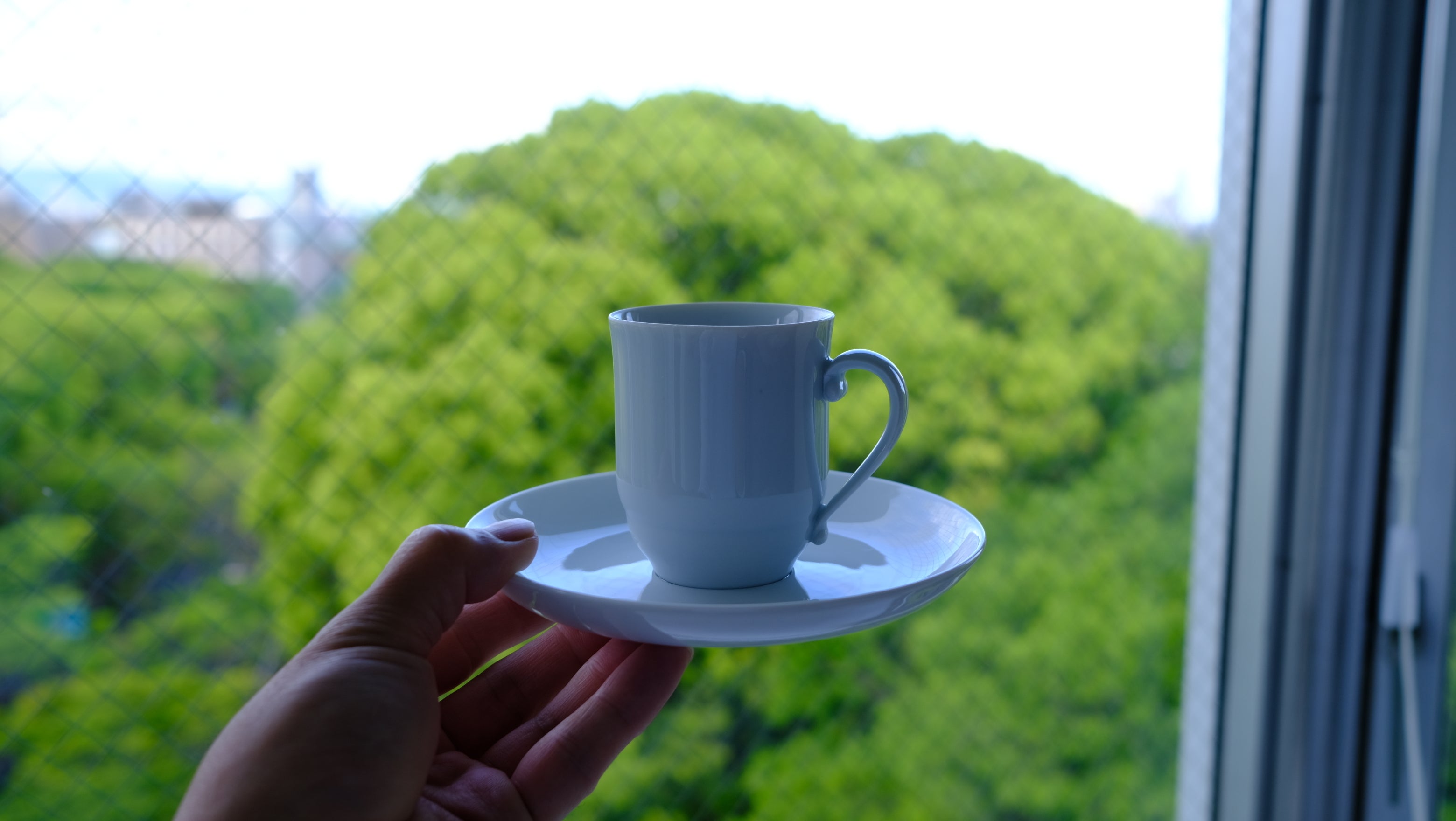 【希少・美品】ロイヤル コペンハーゲン デミタス カップ&ソーサー 2客セット