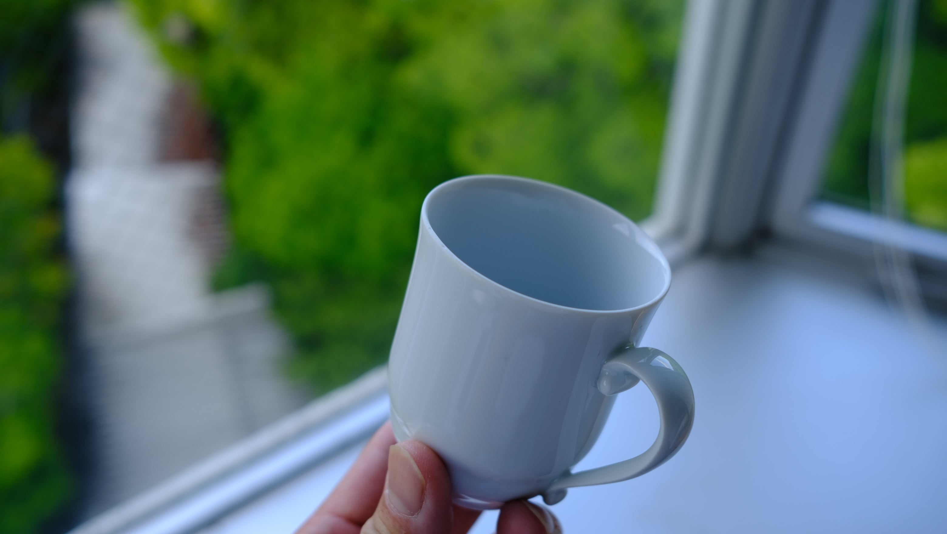 【希少・美品】ロイヤル コペンハーゲン デミタス カップ&ソーサー 2客セット