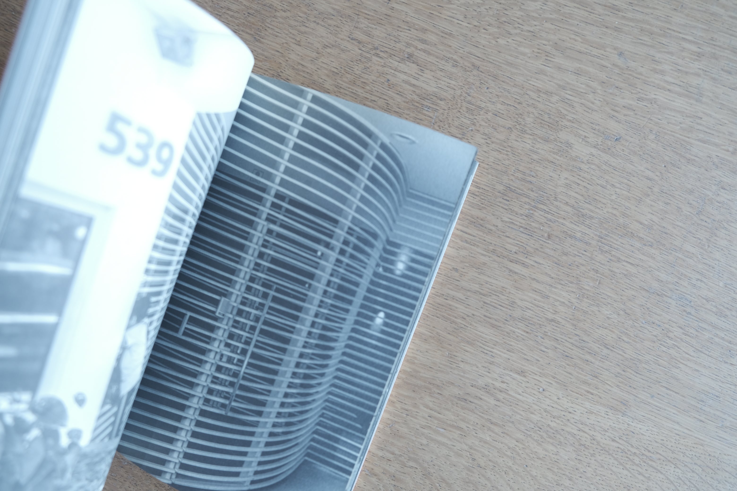 EXCLUSION / INCLUSION|Ewa Priester|300部限定フォトブック(2015|Pivô / Centro Cultural São Paulo)