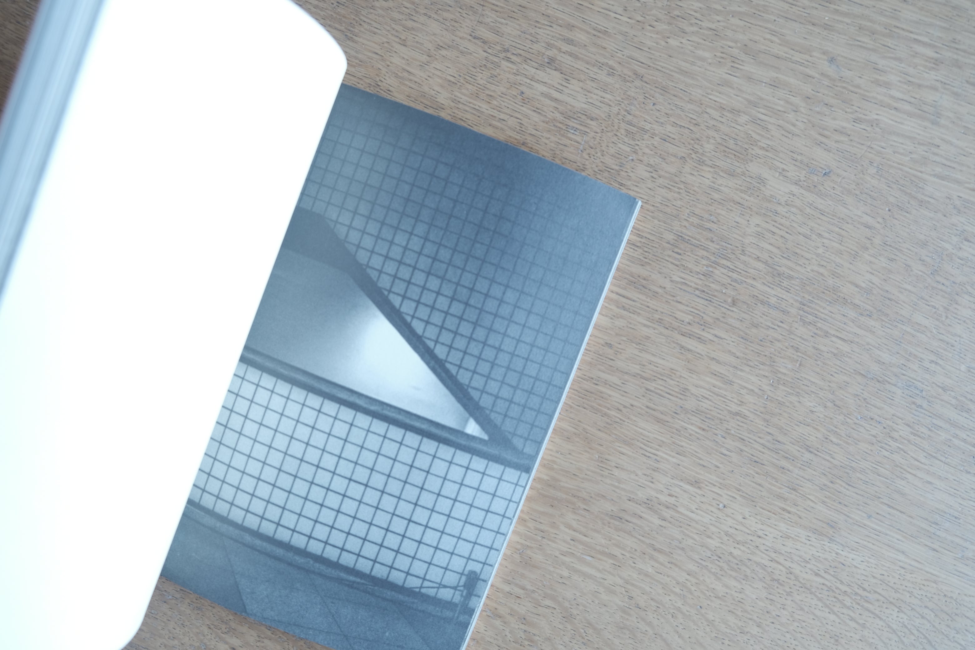 EXCLUSION / INCLUSION|Ewa Priester|300部限定フォトブック(2015|Pivô / Centro Cultural São Paulo)