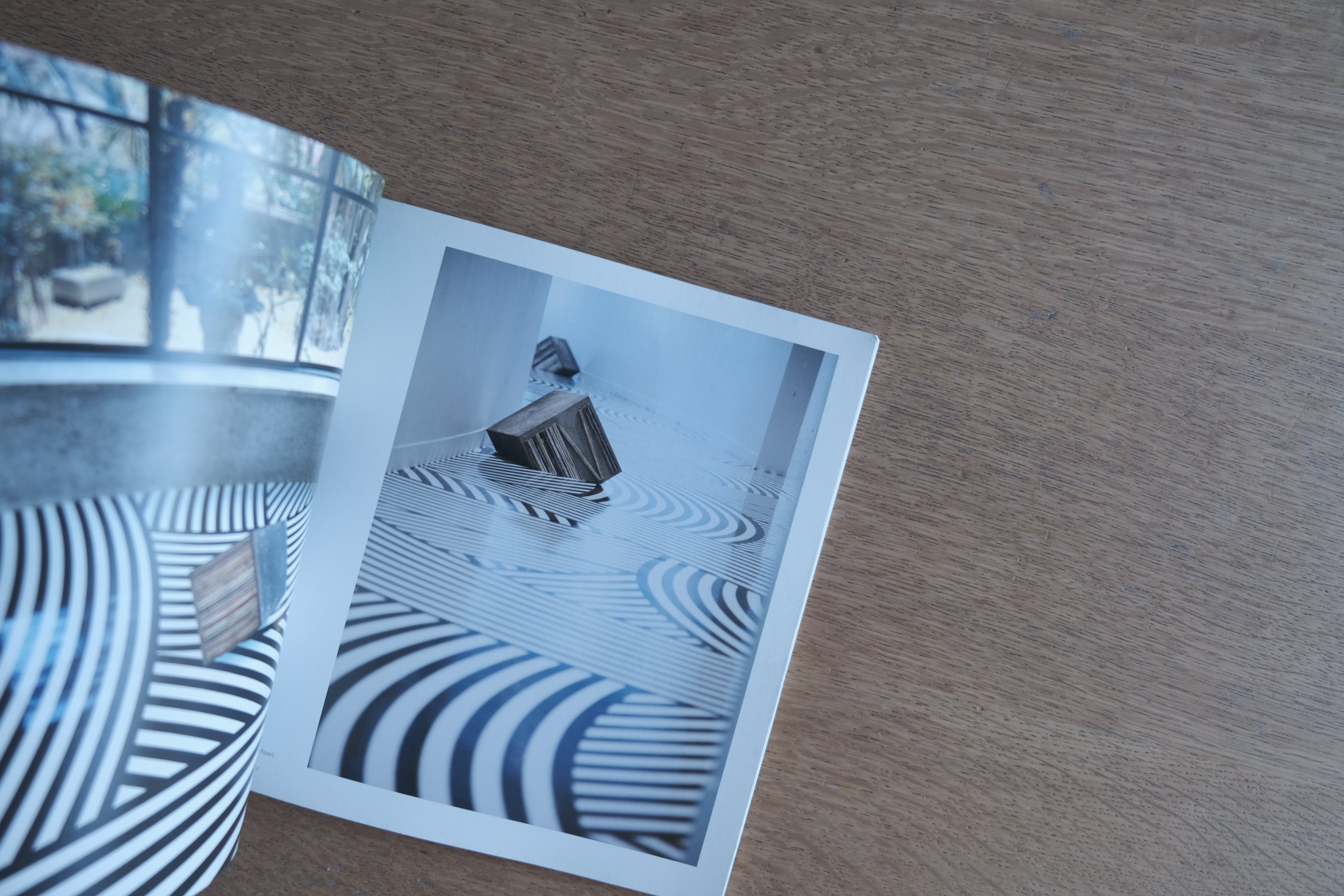 Jim Lambie|UNKNOWN PLEASURES 展覧会図録(原美術館 2009)