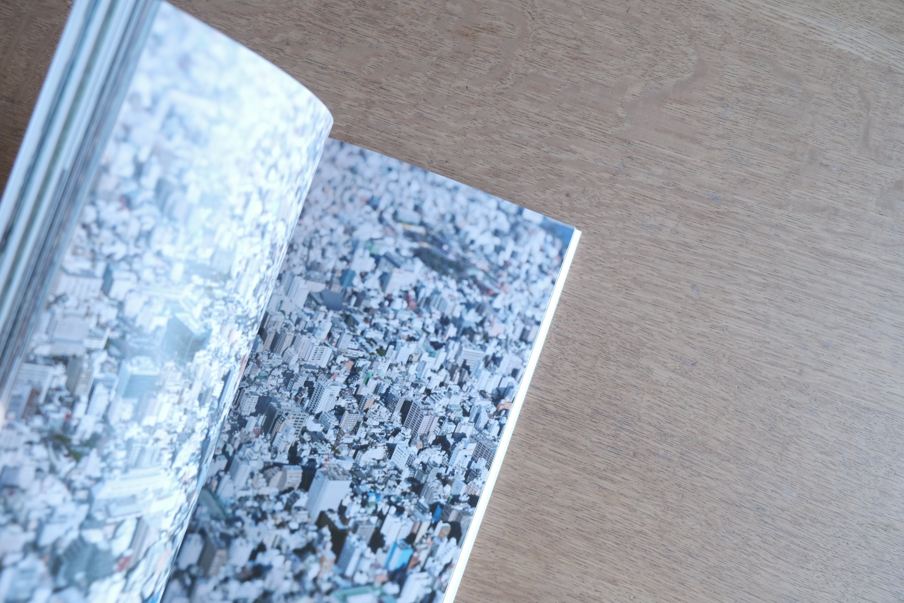 本城直季|(un) real utopia 展覧会図録(朝日新聞社 2020)