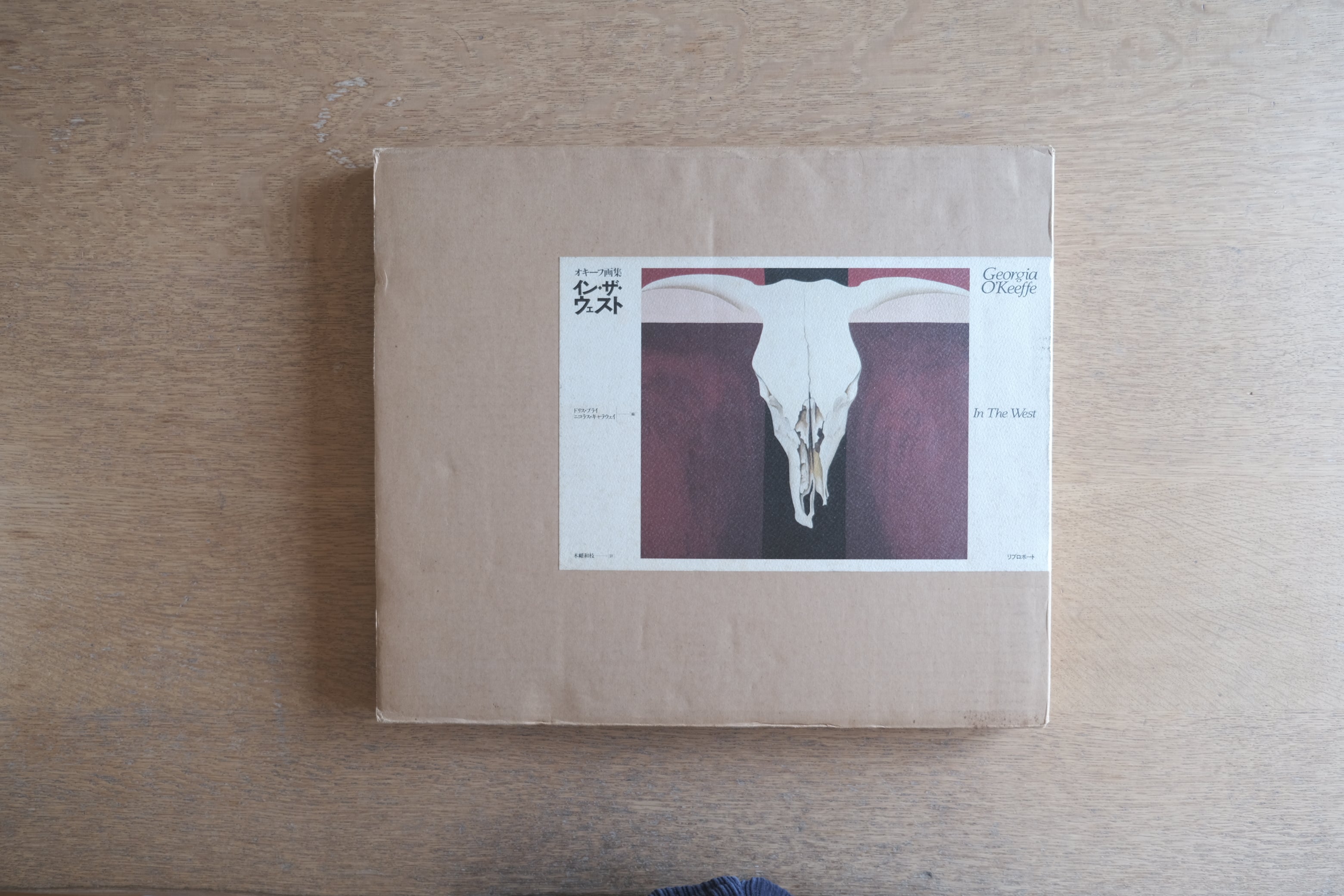 ジョージア・オキーフ画集 イン・ザ・ウェスト|Georgia O'Keeffe In The West|リブロポート 1990年 ケース付