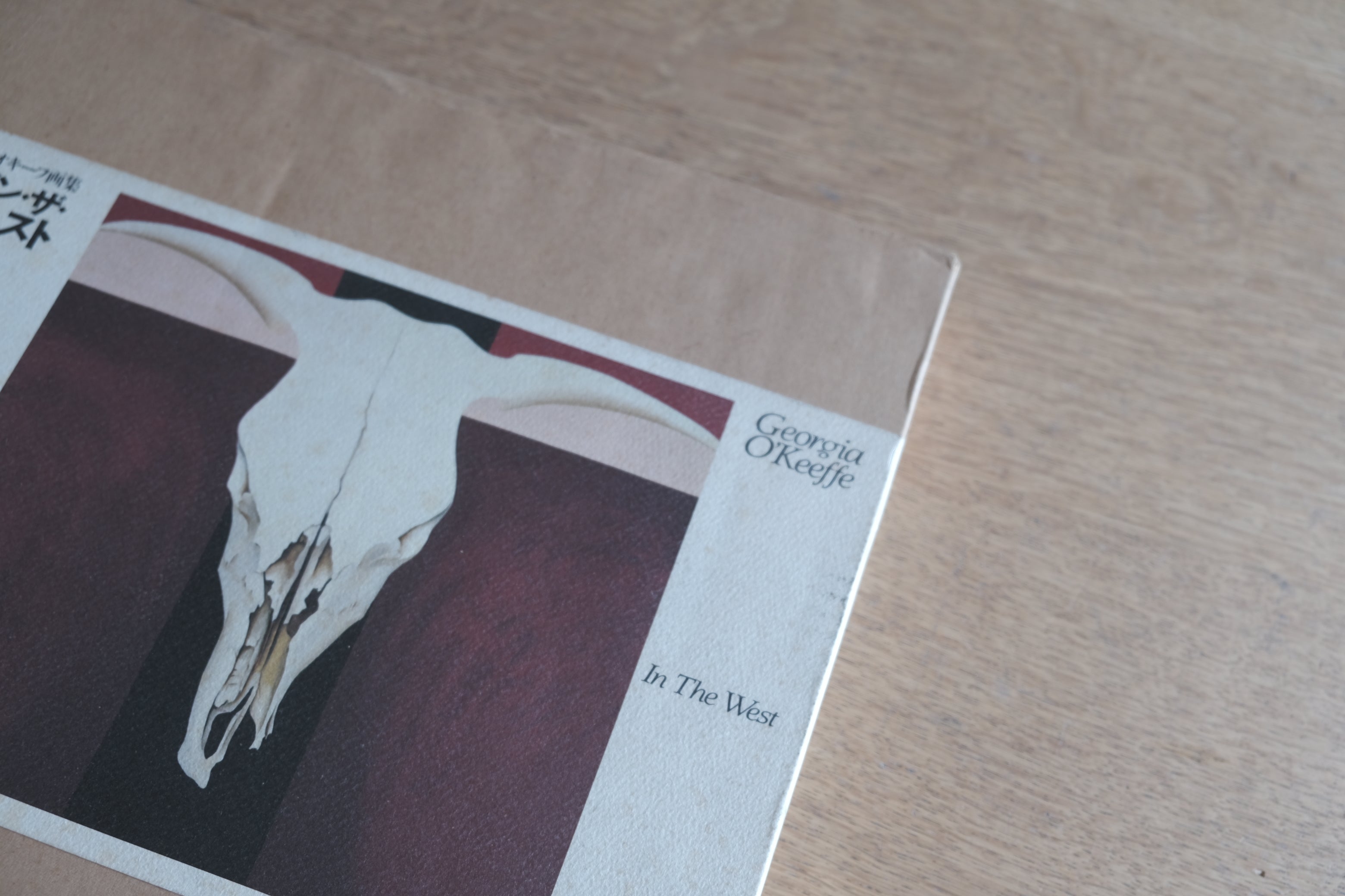 ジョージア・オキーフ画集 イン・ザ・ウェスト|Georgia O'Keeffe In The West|リブロポート 1990年 ケース付
