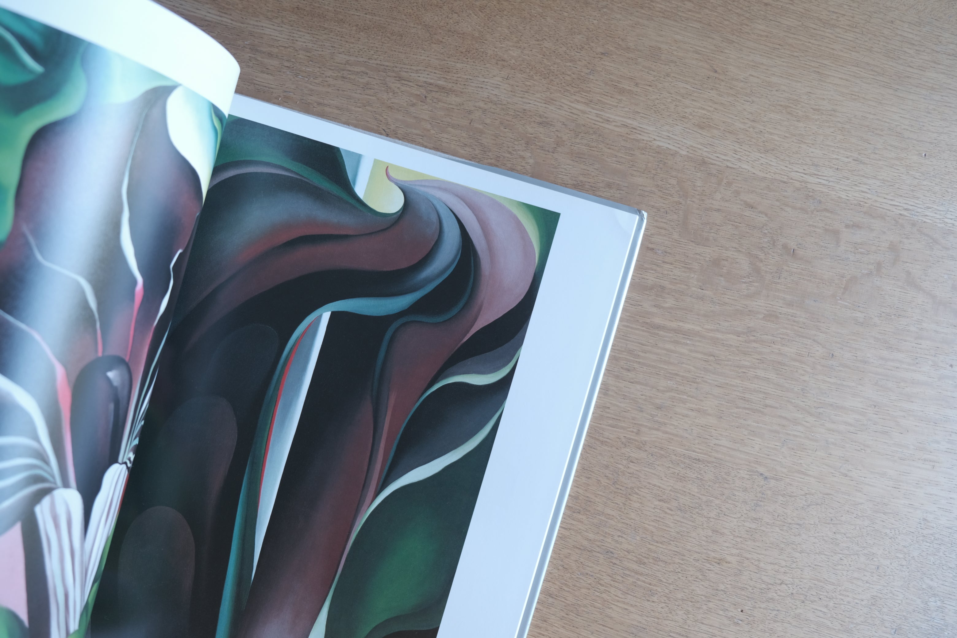 Georgia O’Keeffe The New York Years|ジョージア・オキーフ ニューヨーク・イヤーズ|リブロポート 大判美術書
