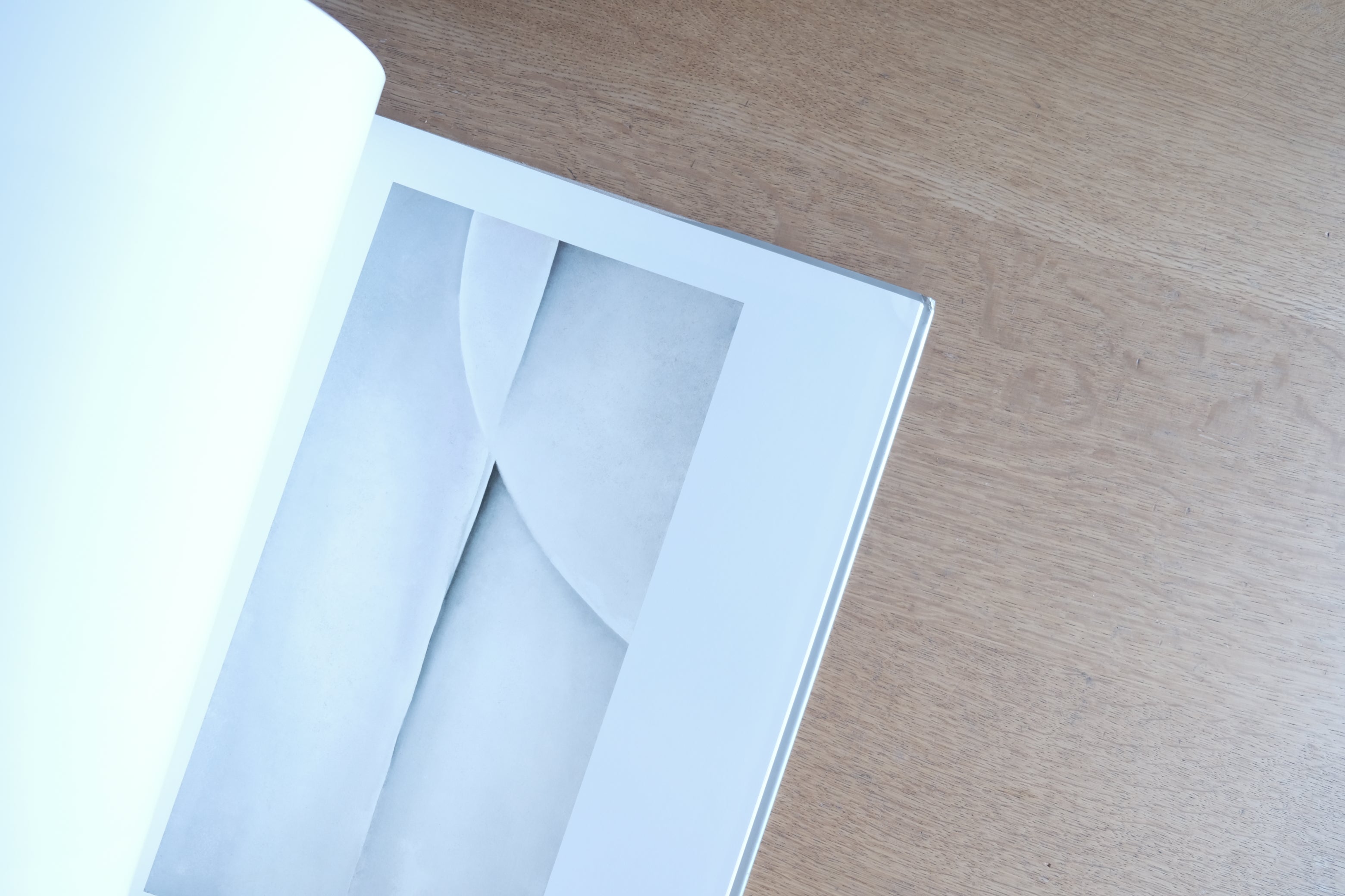 Georgia O’Keeffe The New York Years|ジョージア・オキーフ ニューヨーク・イヤーズ|リブロポート 大判美術書