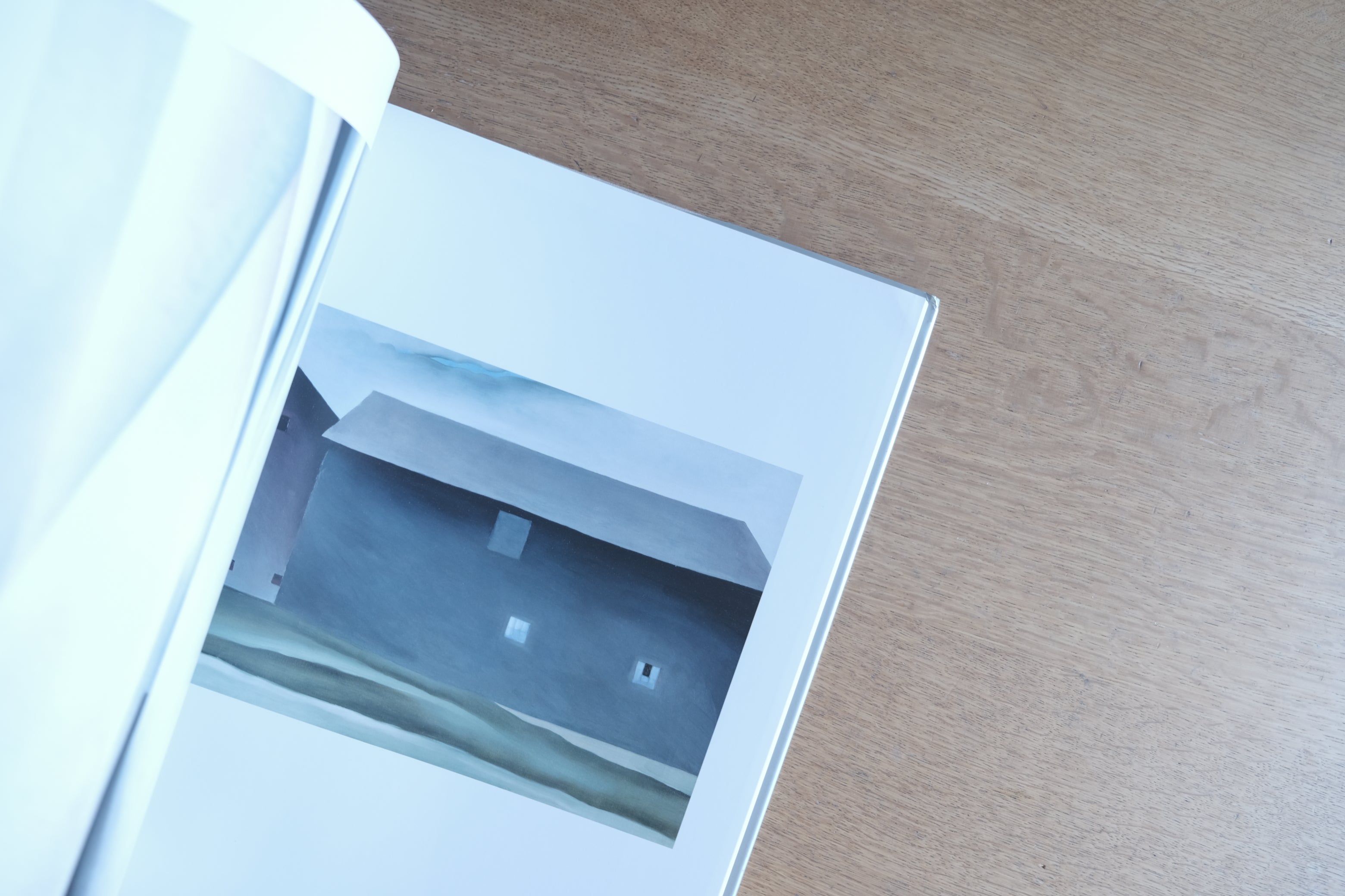 Georgia O’Keeffe The New York Years|ジョージア・オキーフ ニューヨーク・イヤーズ|リブロポート 大判美術書