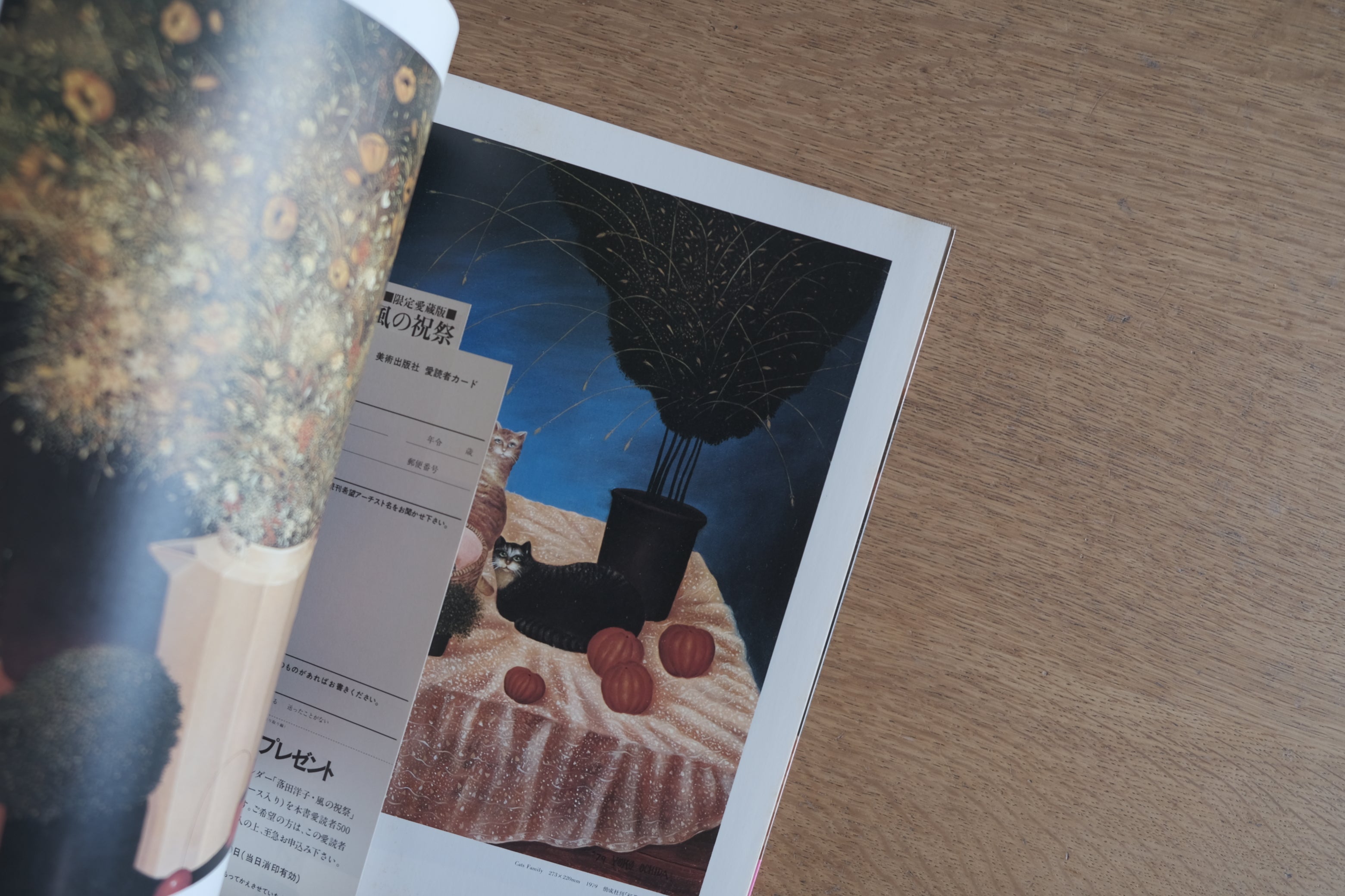 落田洋子『風の祝祭』帯付|美術出版社 1981|作品集(舟橋克彦 詩/落田洋子 エッセイ)