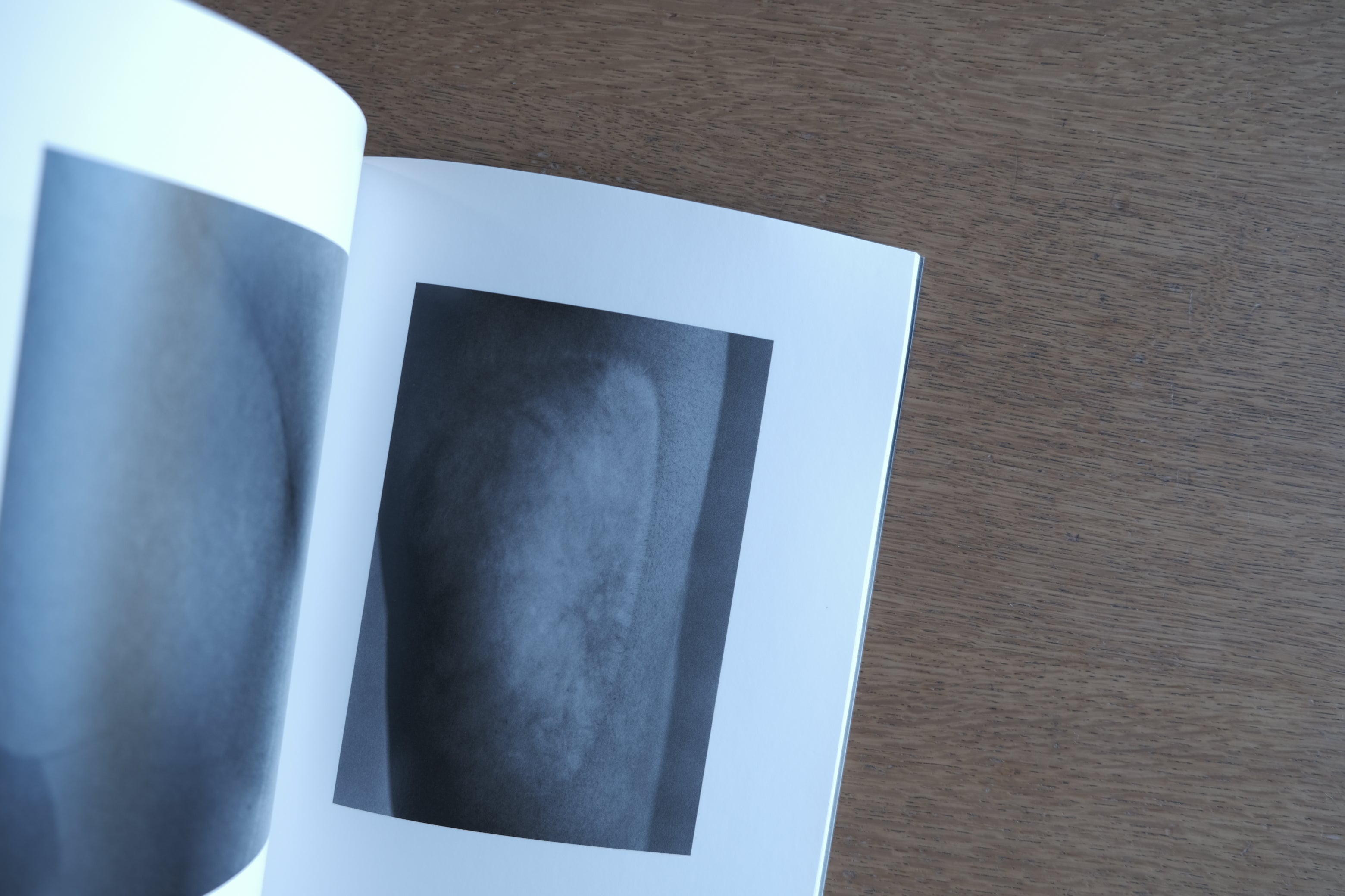 石内都|モノクローム ― 時の器 / Time Textured in Monochrome|東京国立近代美術館 図録(1999)