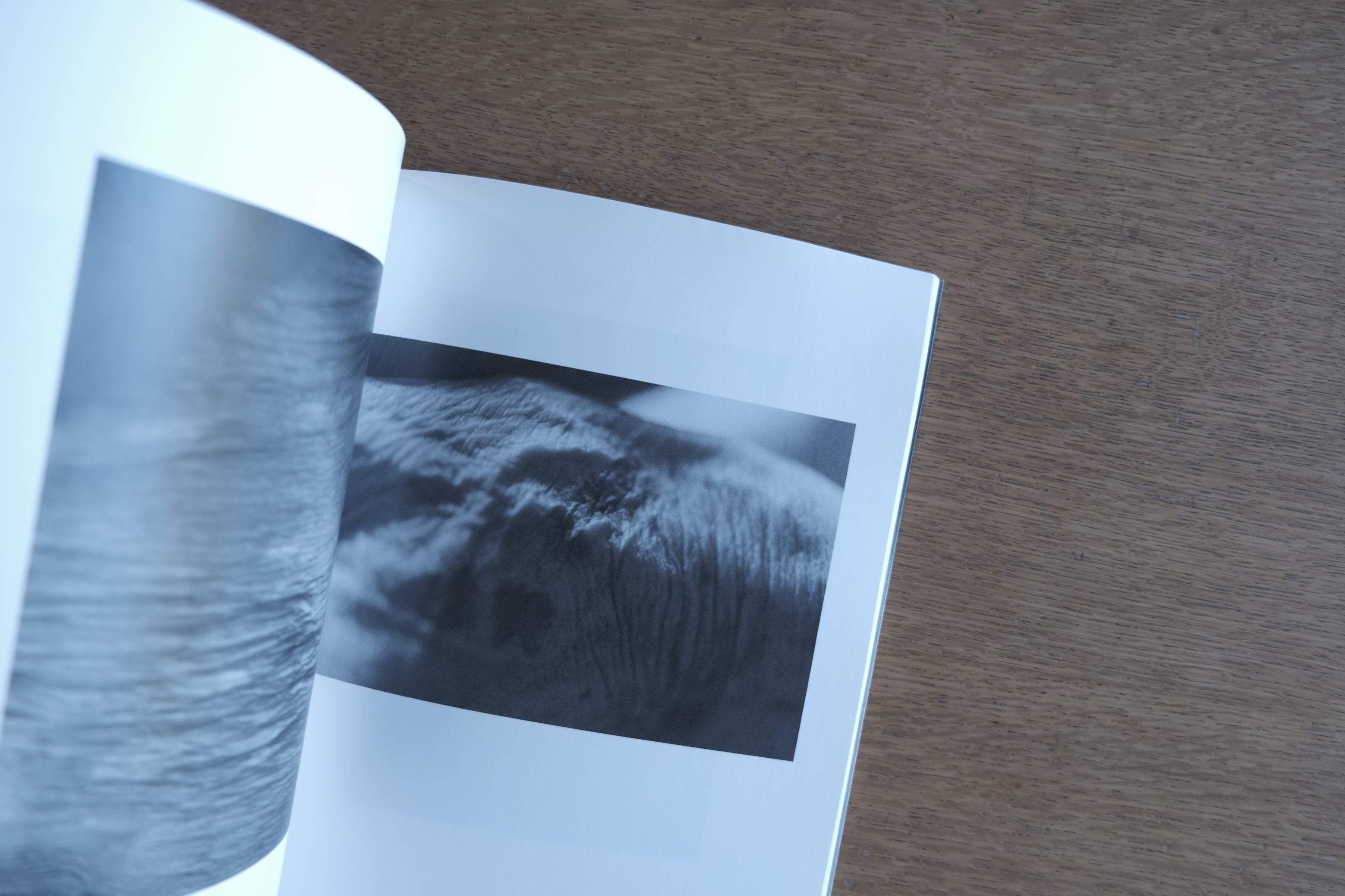 石内都|モノクローム ― 時の器 / Time Textured in Monochrome|東京国立近代美術館 図録(1999)