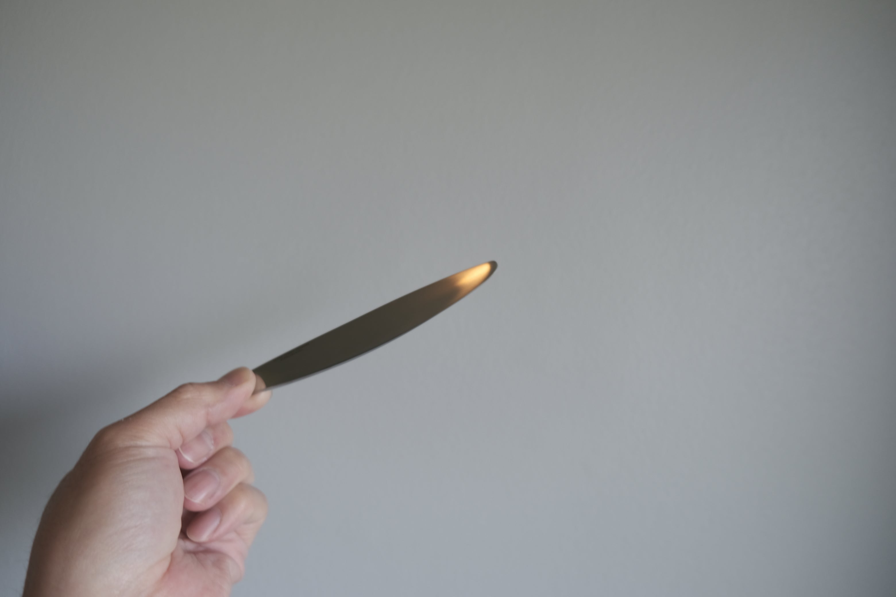 Henning Koppel レターオープナー|ジョージ・ジェンセン製 魚のかたち