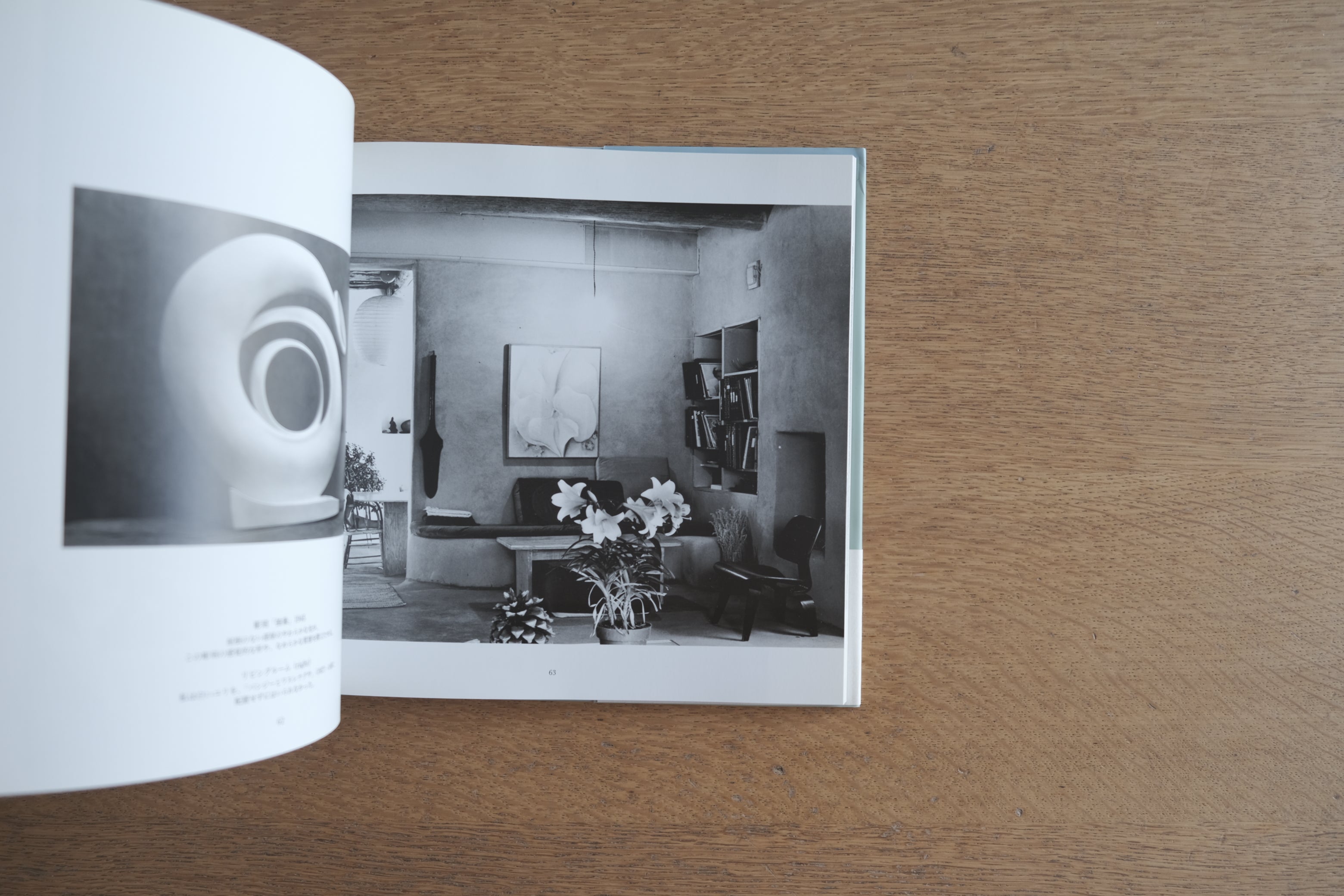 オキーフの家|Georgia O’Keeffe Abiquiu and Ghost Ranch|2003年初版・ハードカバー