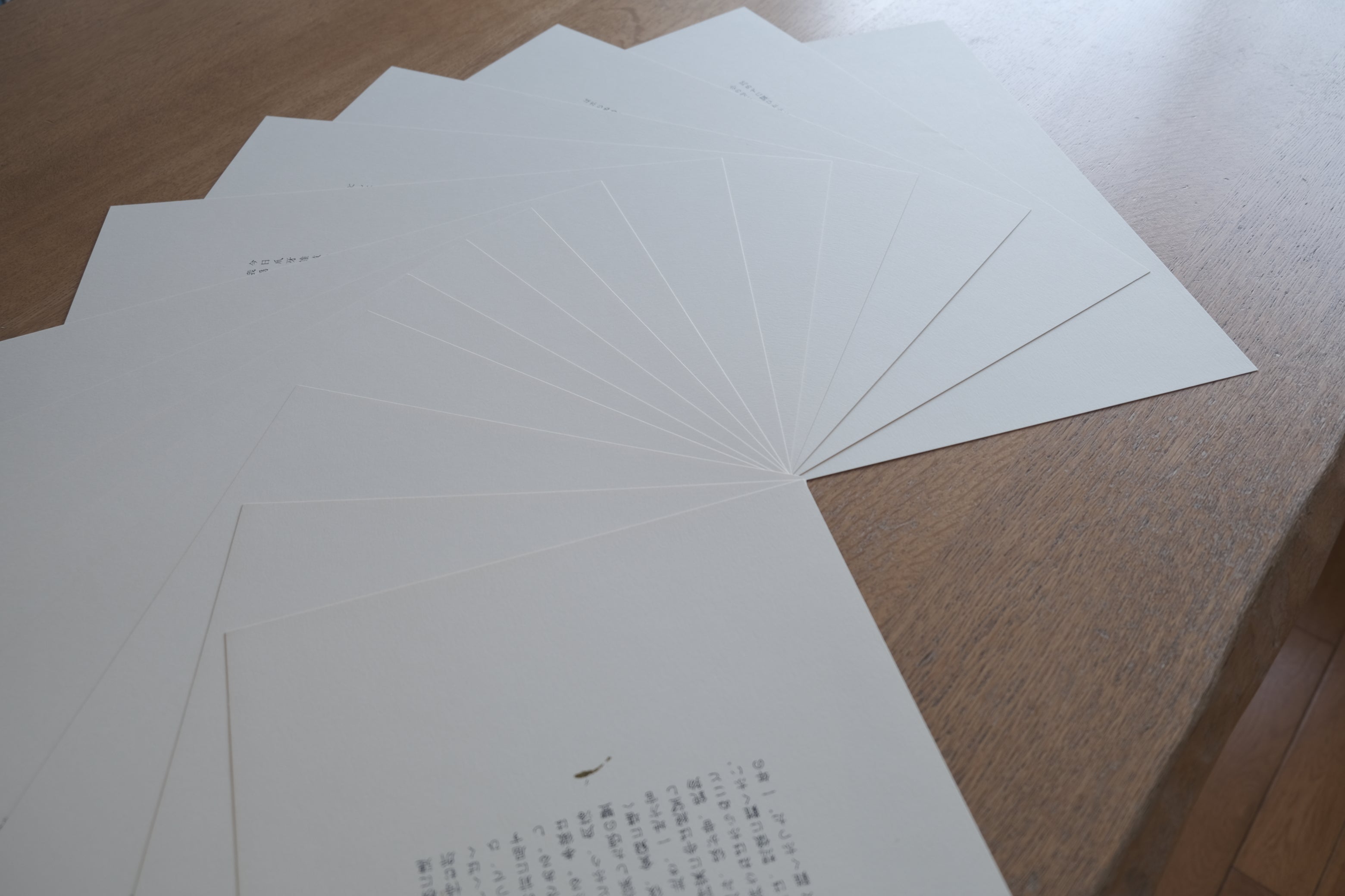 冬澤未都彦「山月記(中島敦)」版画ポートフォリオ(1993)限定253部|サイン入り