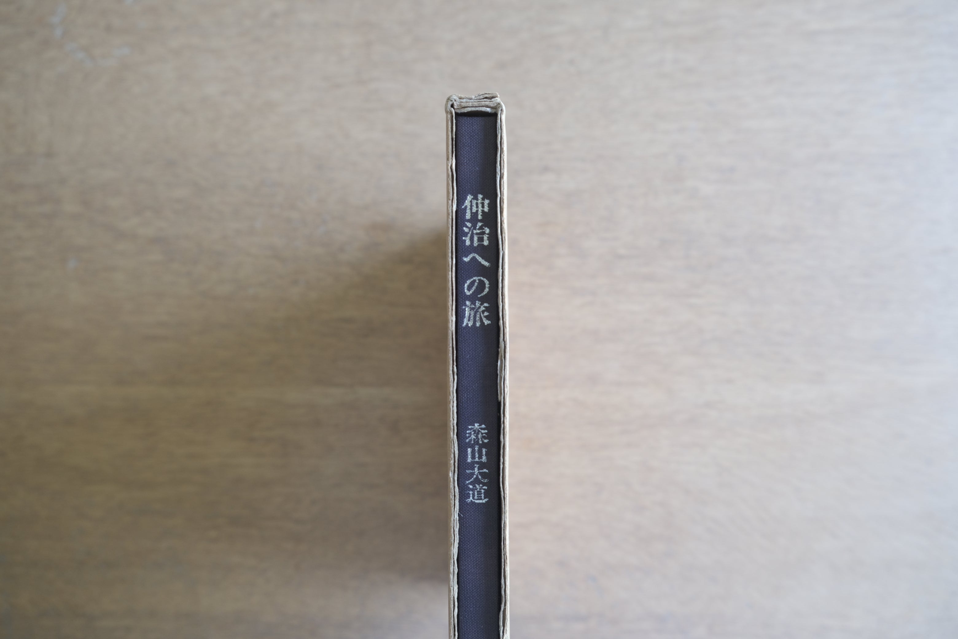 森山大道『仲治への旅』初版 1987年 蒼穹舎 安井仲治へのオマージュ写真集 函付