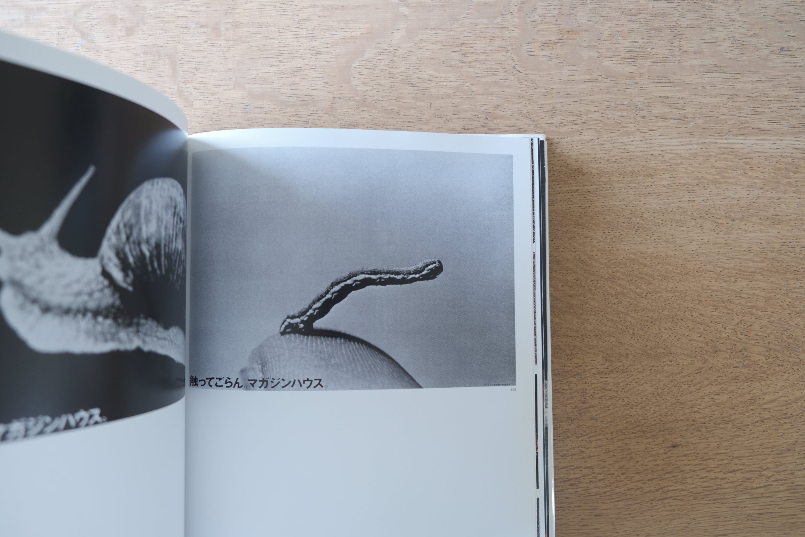 井上嗣也作品集|Inoue Tsuguya Graphic Works 1981–2007|広告・グラフィック・アーカイブ