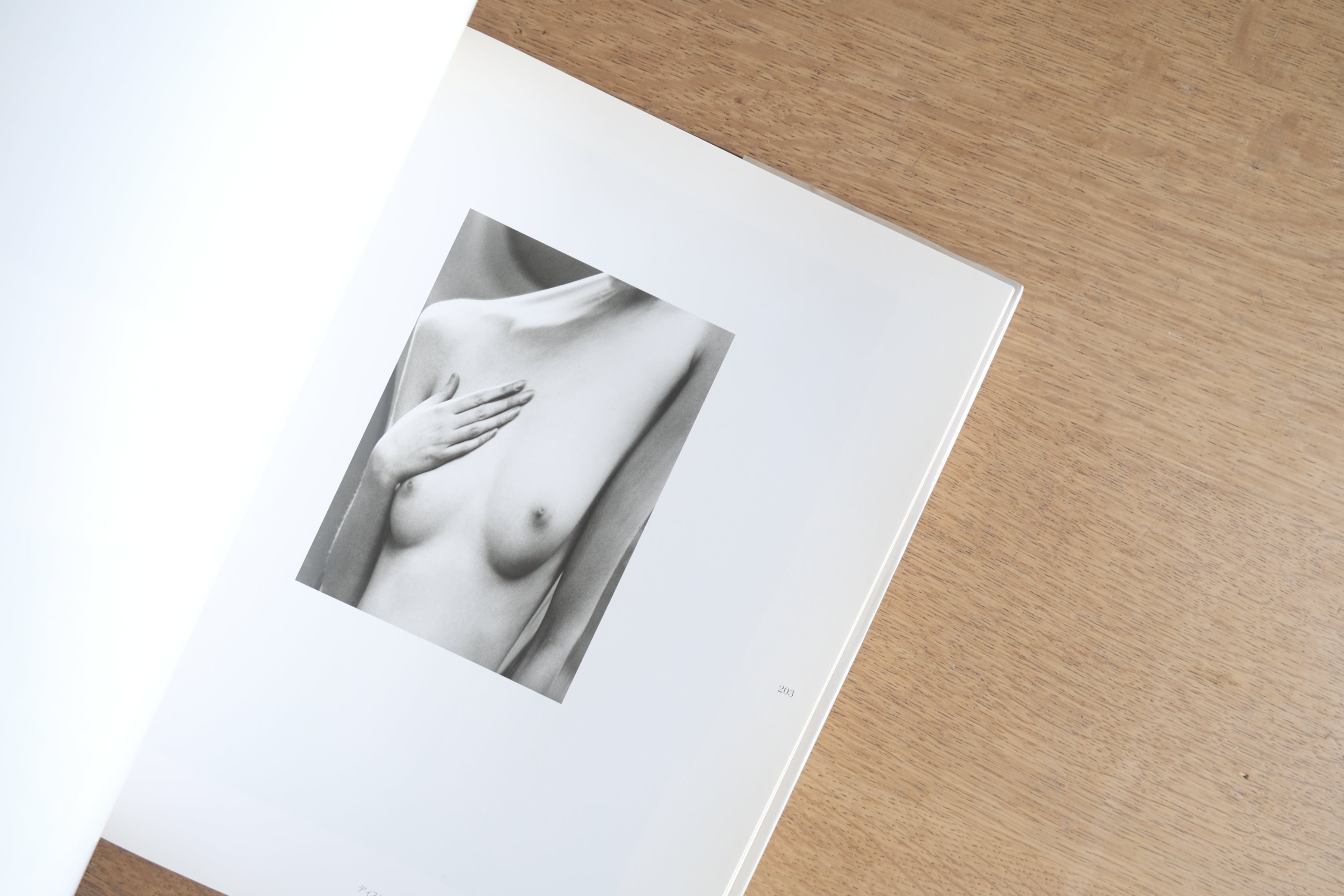 アンドレ・ケルテス展|その生涯の鏡像|東京都写真美術館|回顧展図録 1995年