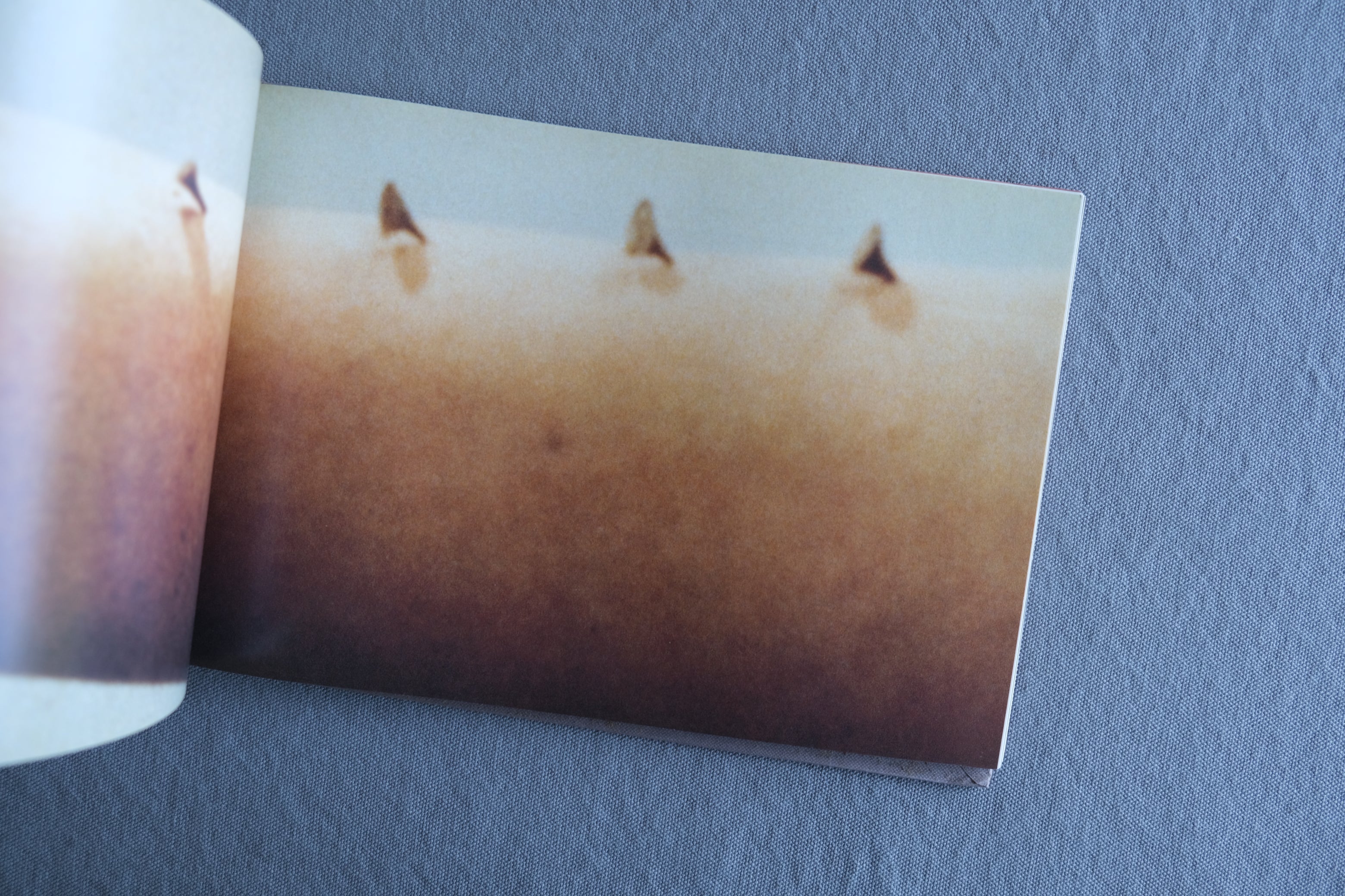 Gina Pane|ジーナ・パーネ作品集 John Hansard Gallery 2002年