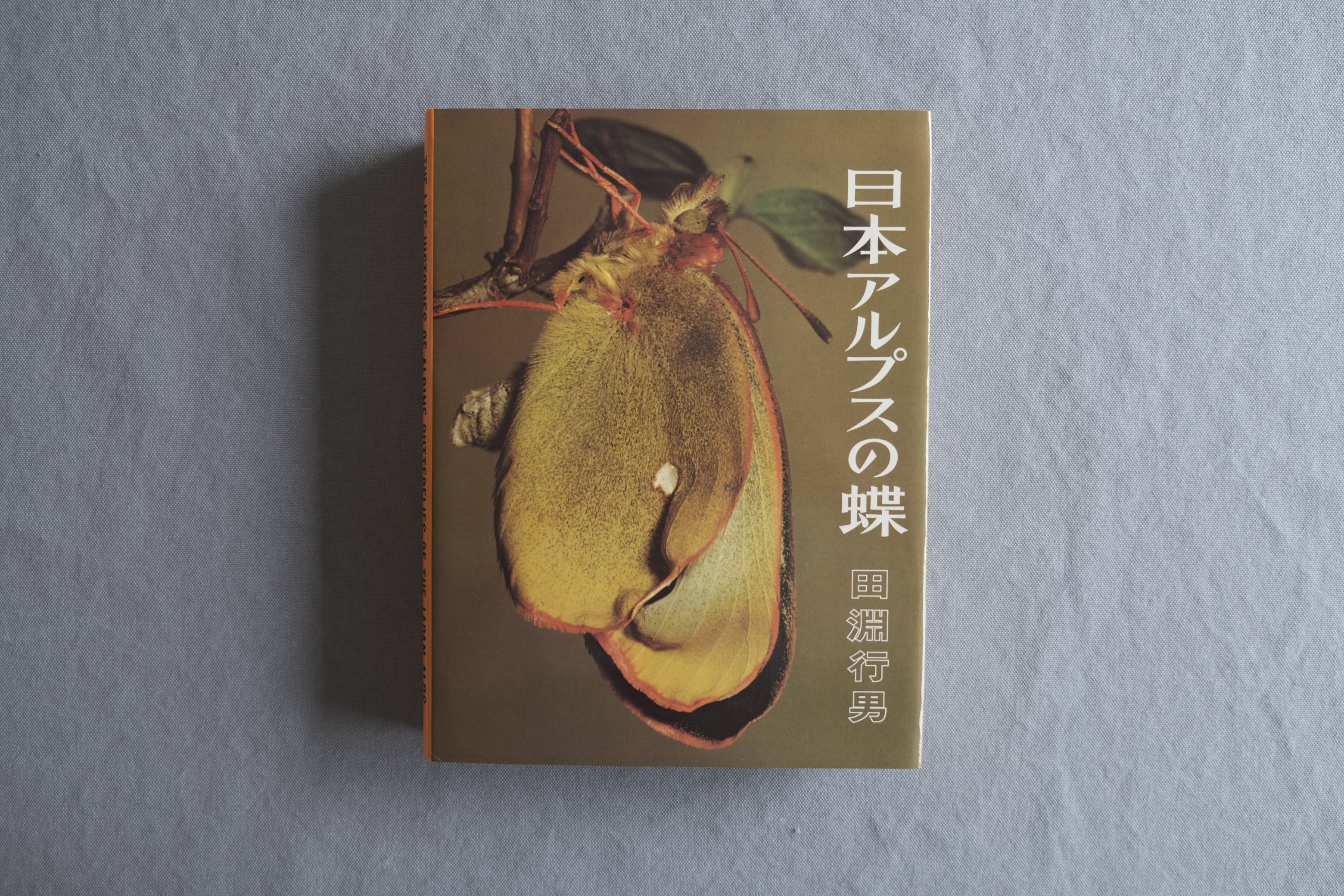 田淵行男『日本アルプスの蝶』初版・函付|日本アルプスを記録した自然写真と蝶の大型資料集
