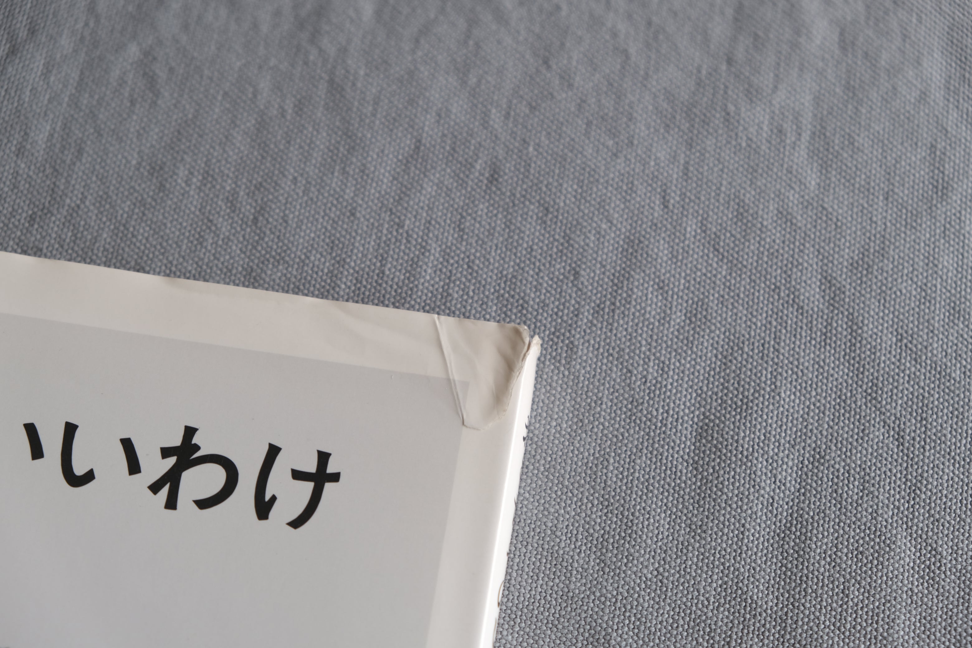 おもちゃのいいわけ|舟越桂 作品集 すえもりブックス