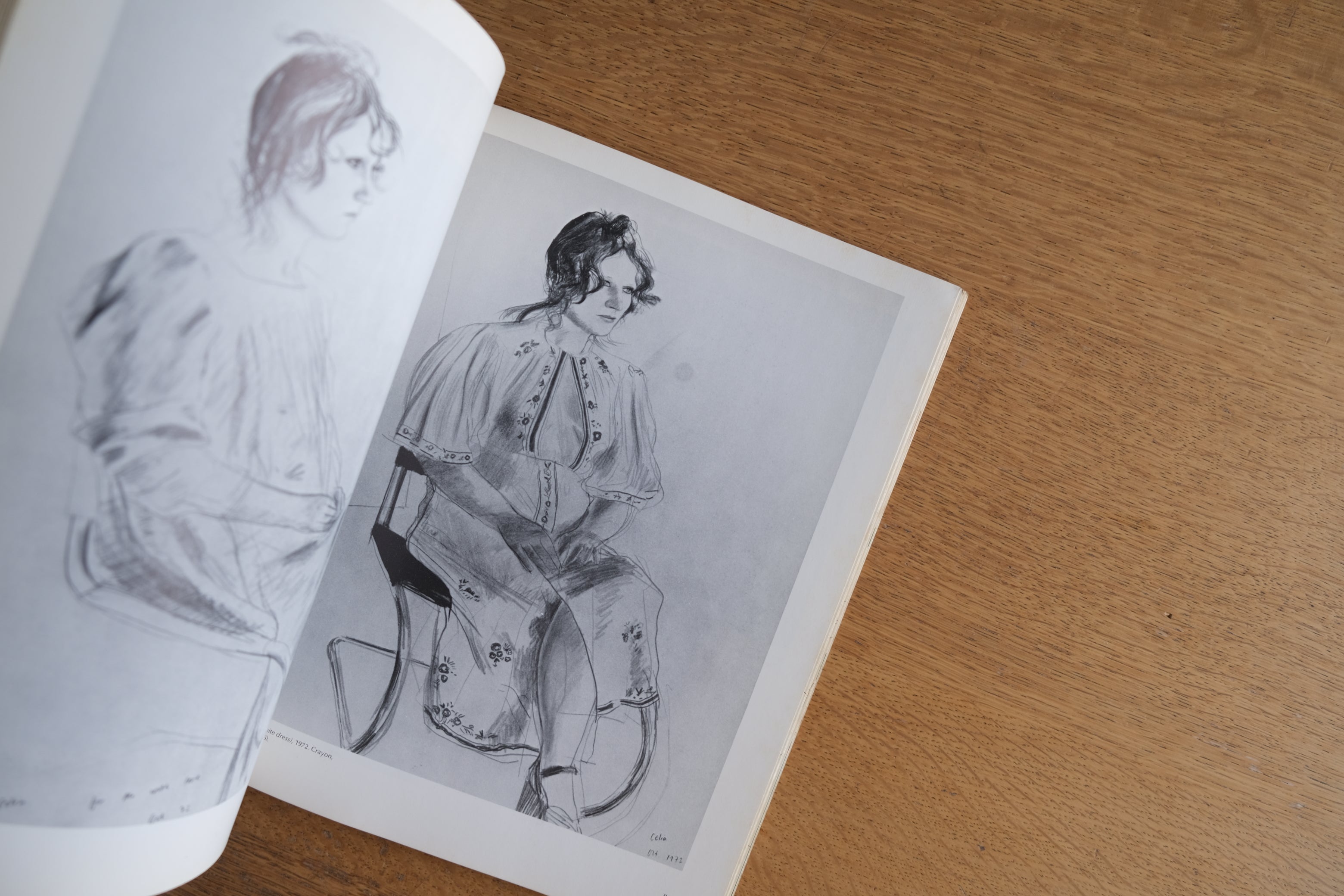 Pictures by David Hockney|デイヴィッド・ホックニー 作品集(1979年刊)
