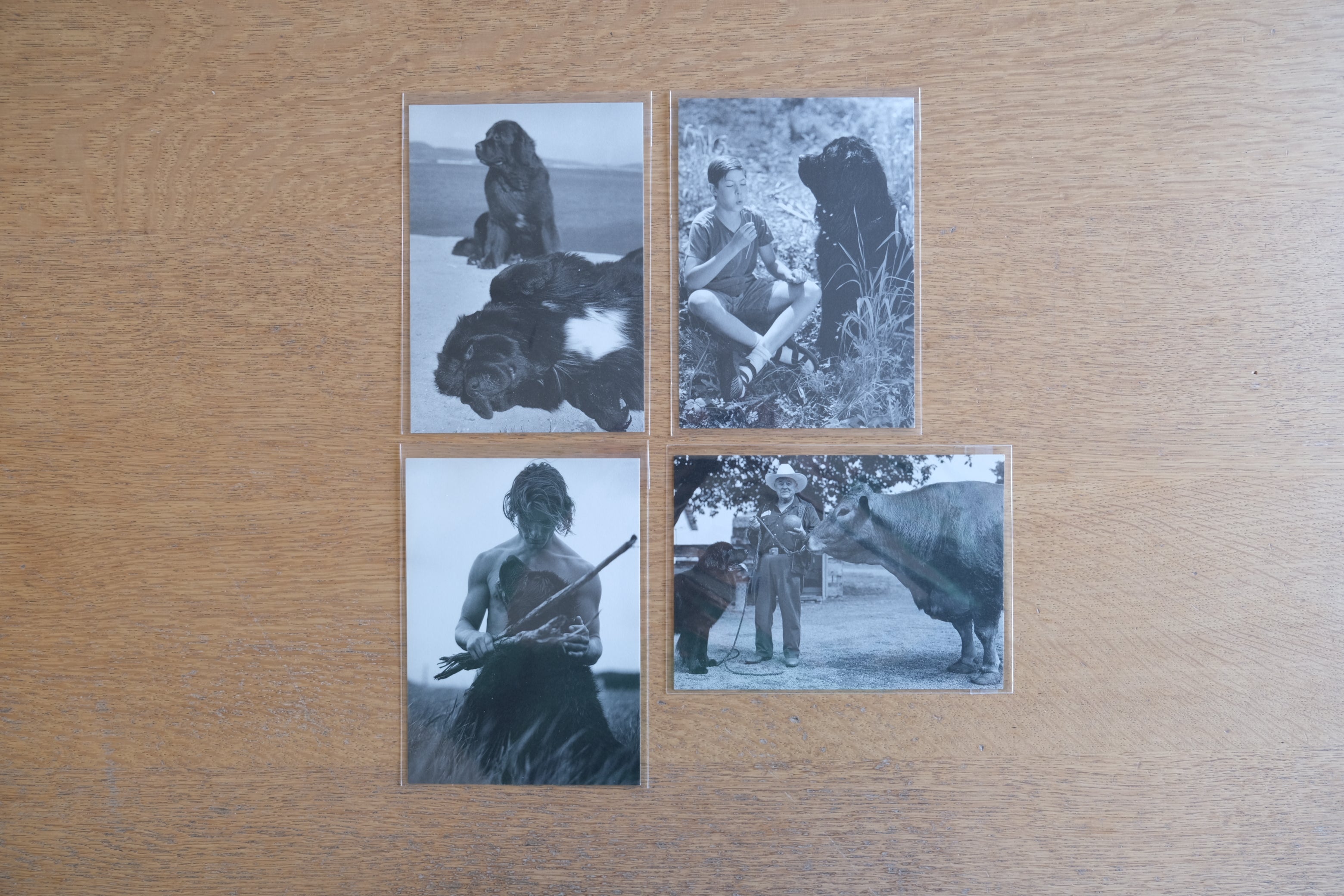 BRUCE WEBER GENTLE GIANTS ブルース・ウェバー ポストカード 4枚セット PARCOギャラリー パルコ 1996年