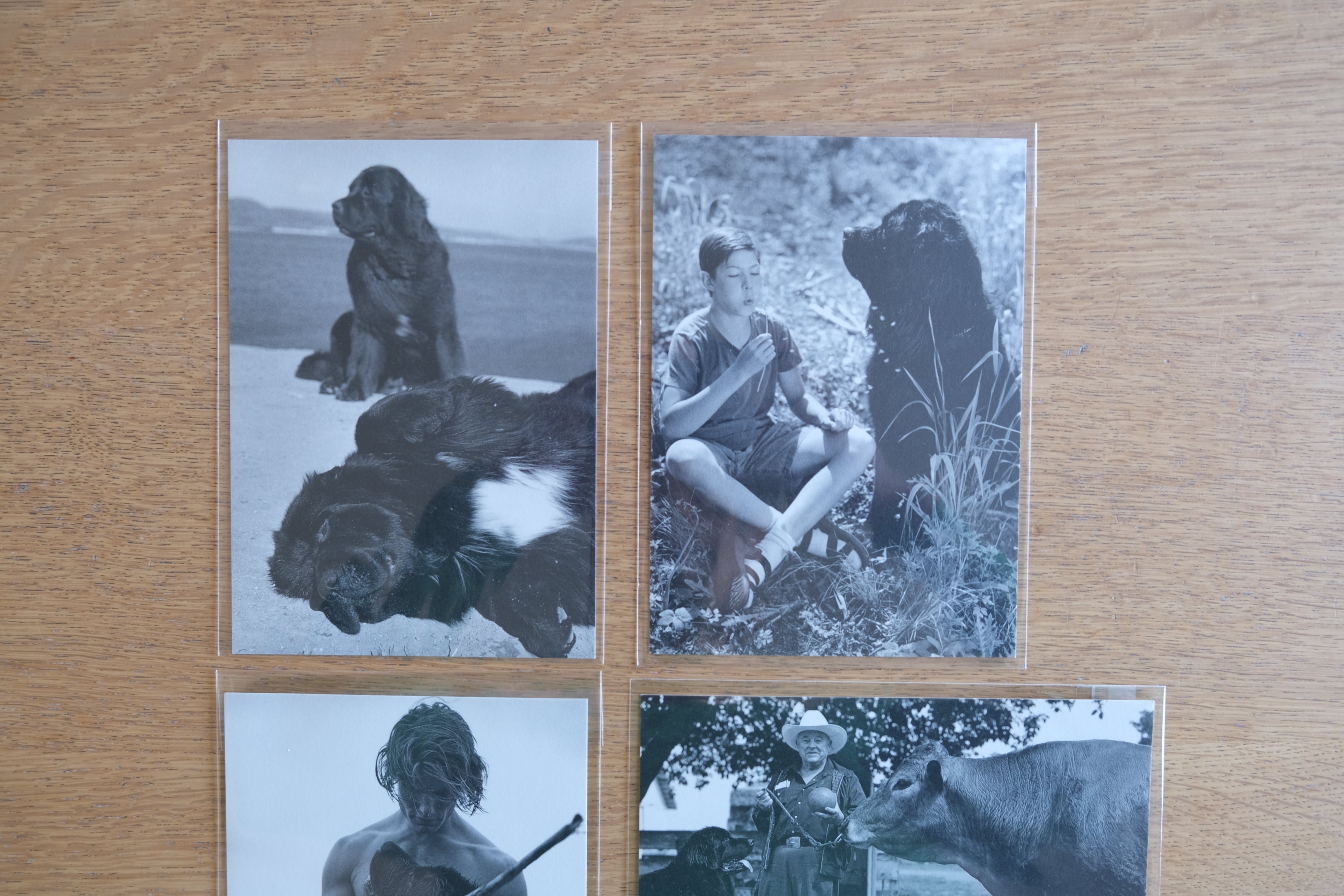 BRUCE WEBER GENTLE GIANTS ブルース・ウェバー ポストカード 4枚セット PARCOギャラリー パルコ 1996年