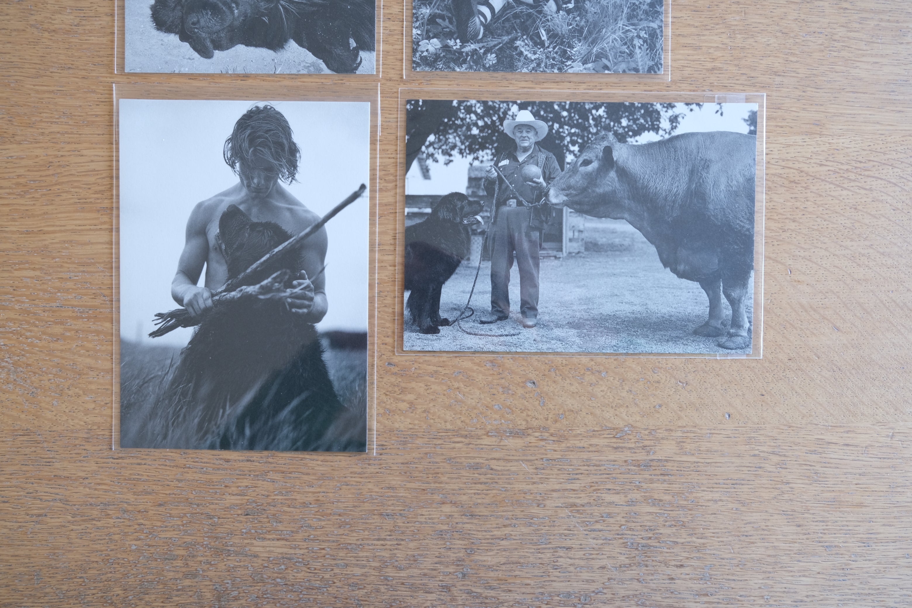 BRUCE WEBER GENTLE GIANTS ブルース・ウェバー ポストカード 4枚セット PARCOギャラリー パルコ 1996年
