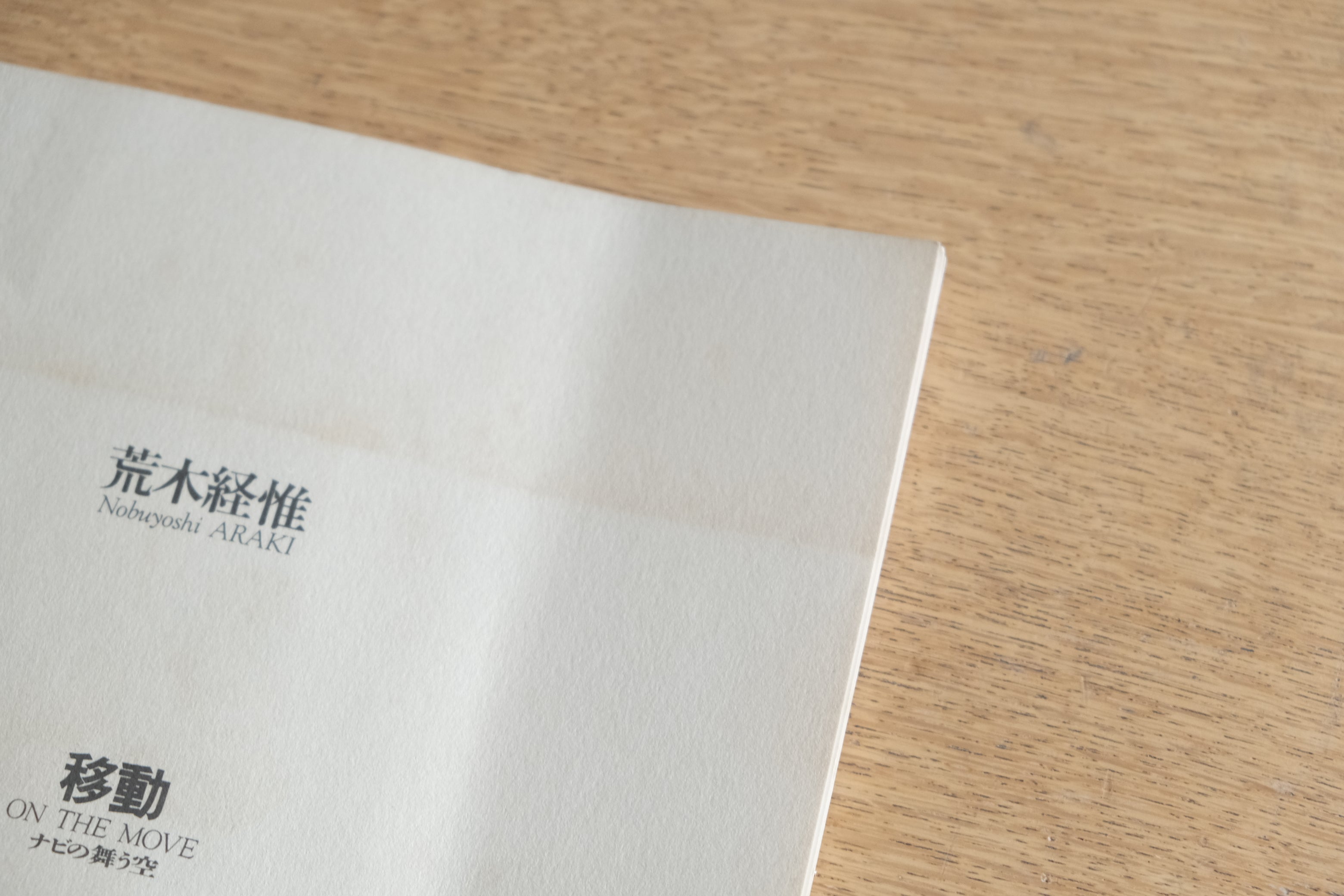 荒木経惟 移動 ON THE MOVE ナビの舞う空(リテラリー・スイッチ創刊記念)