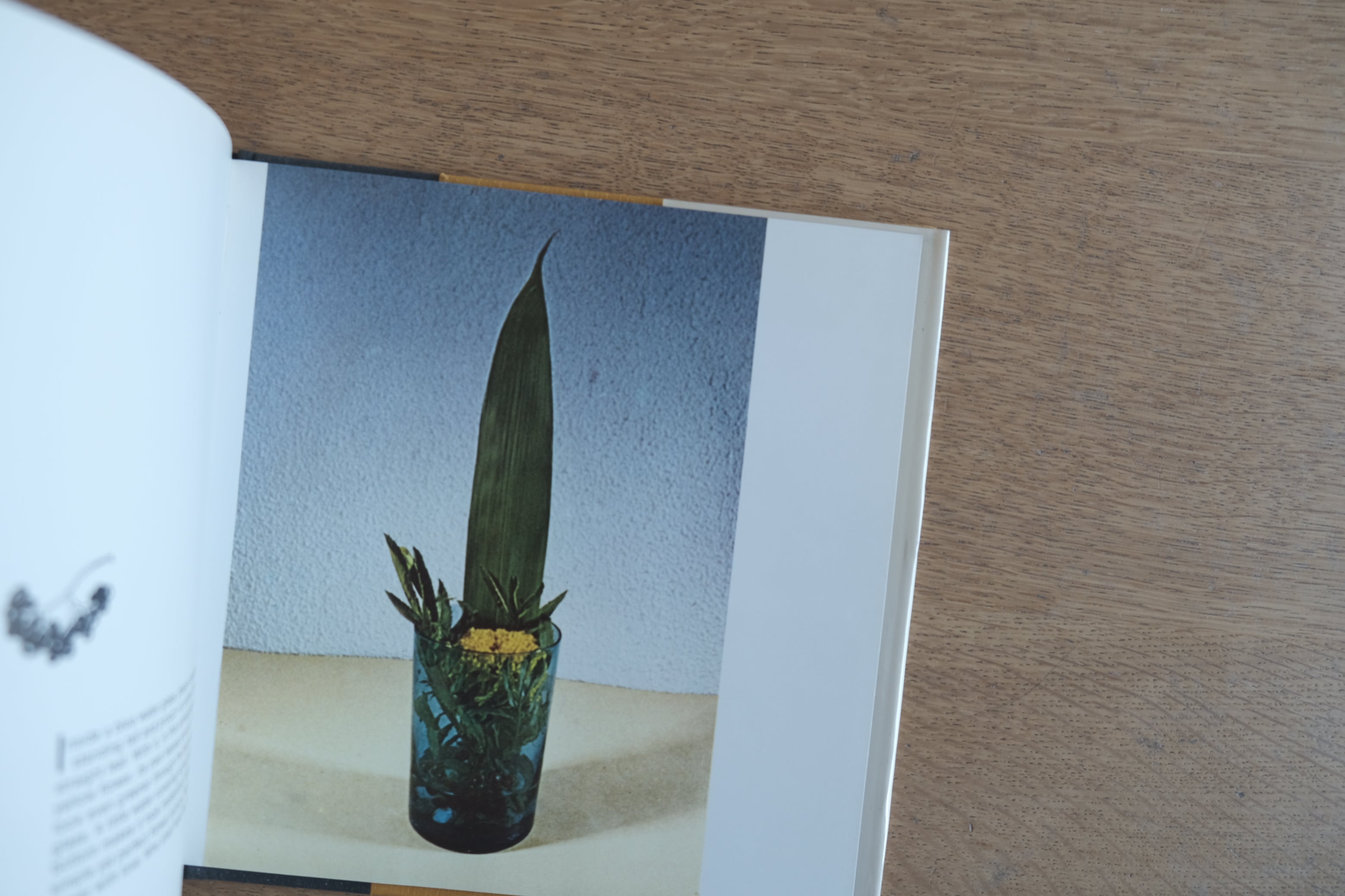 Bruno Munari『A Flower with Love』/ブルーノ・ムナーリ 生け花の思想と遊び(1973年初版)