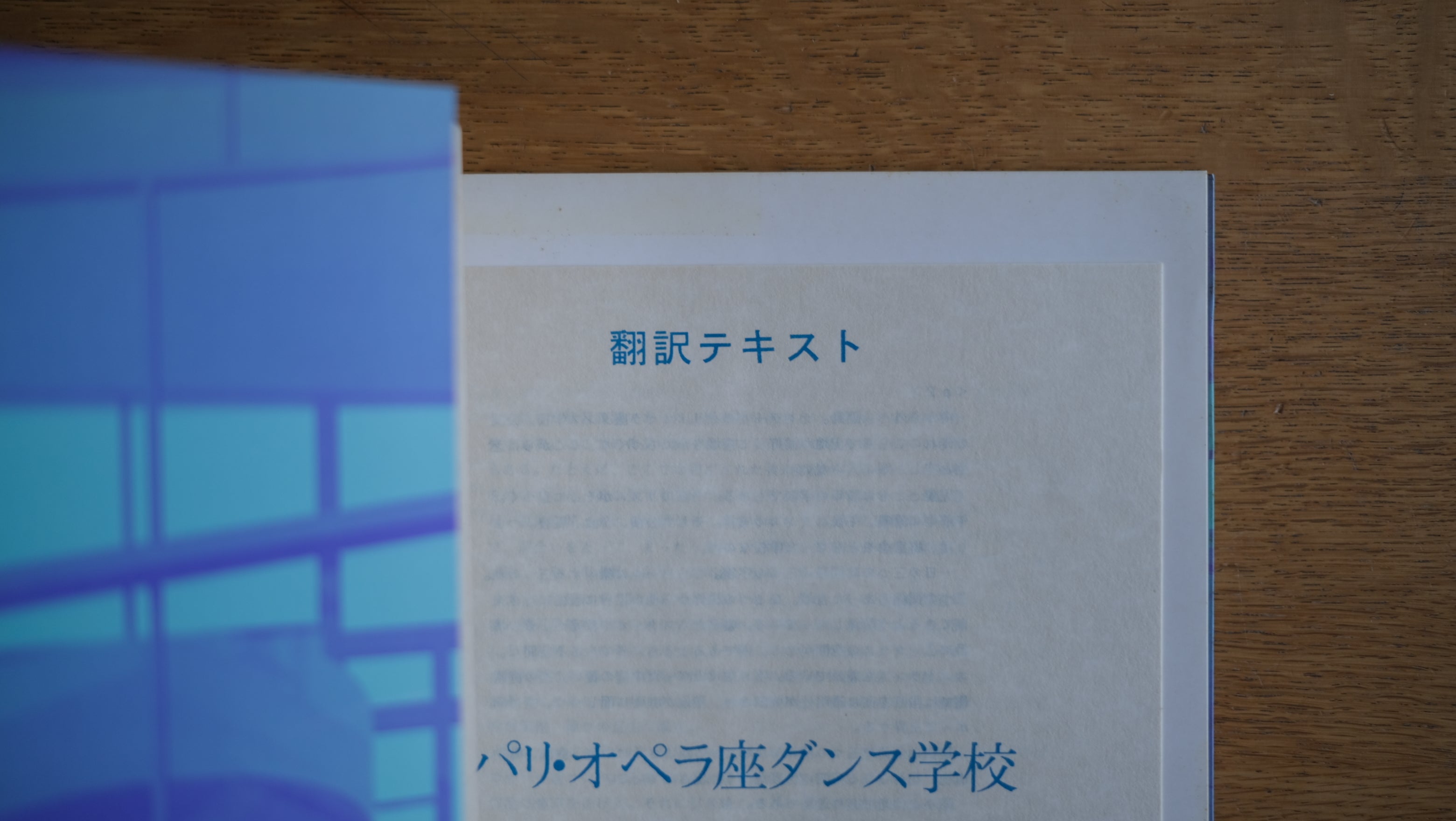 【希少誌】現代建築 書籍 雑誌 クリスチャン・ド・ポルザンパルク 【和訳テキストつき】