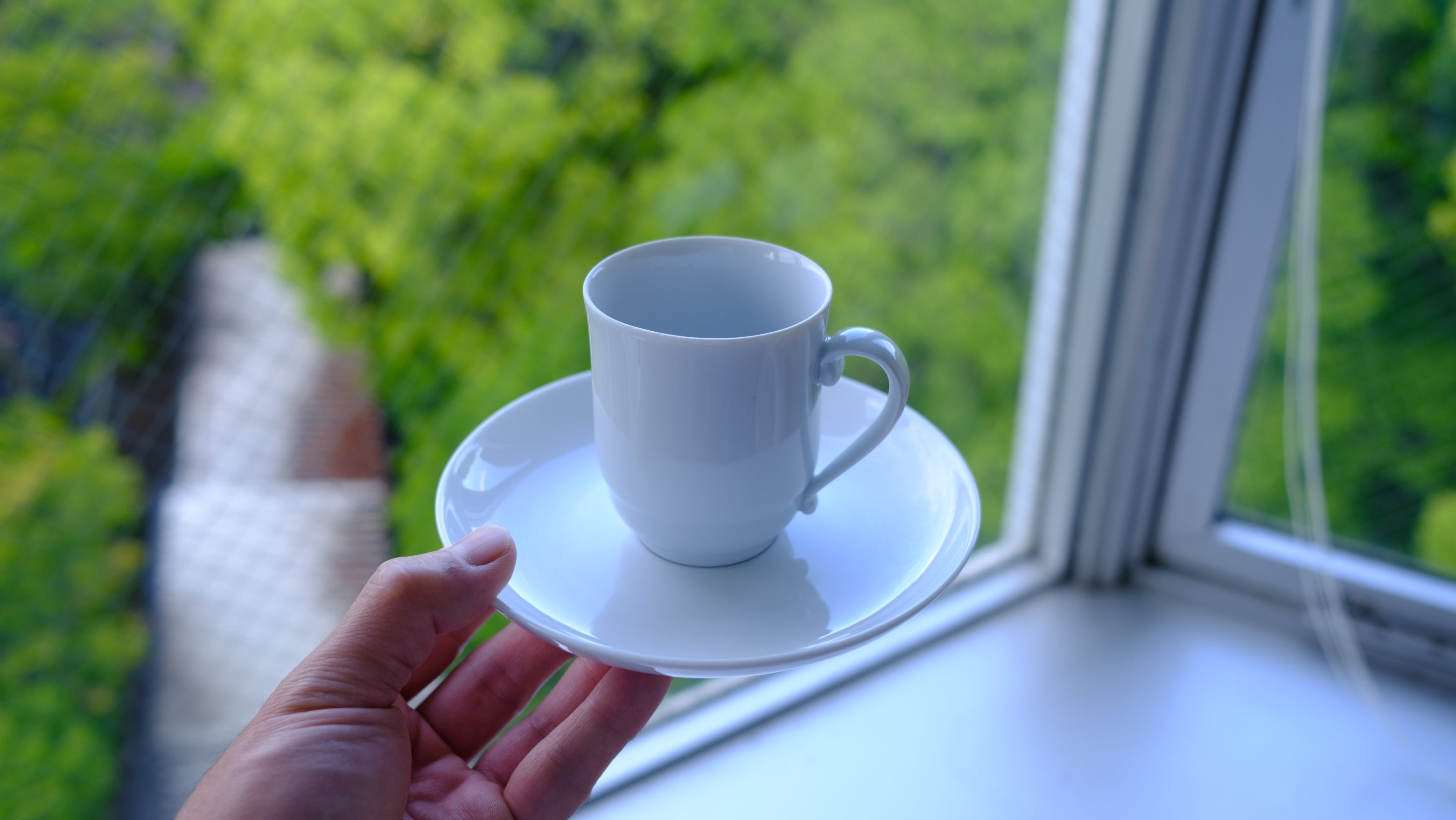 【希少・美品】ロイヤル コペンハーゲン デミタス カップ&ソーサー 2客セット