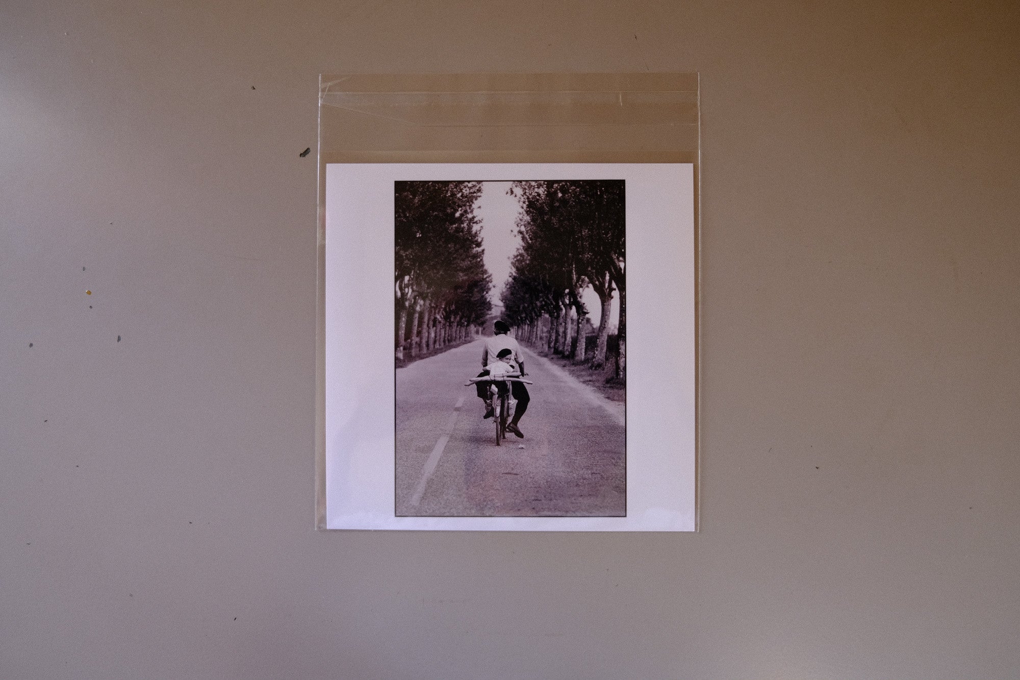 作品 エリオット・アーウィット【サインなし】プリント マグナムフォト スクエアプリント Elliott Erwitt