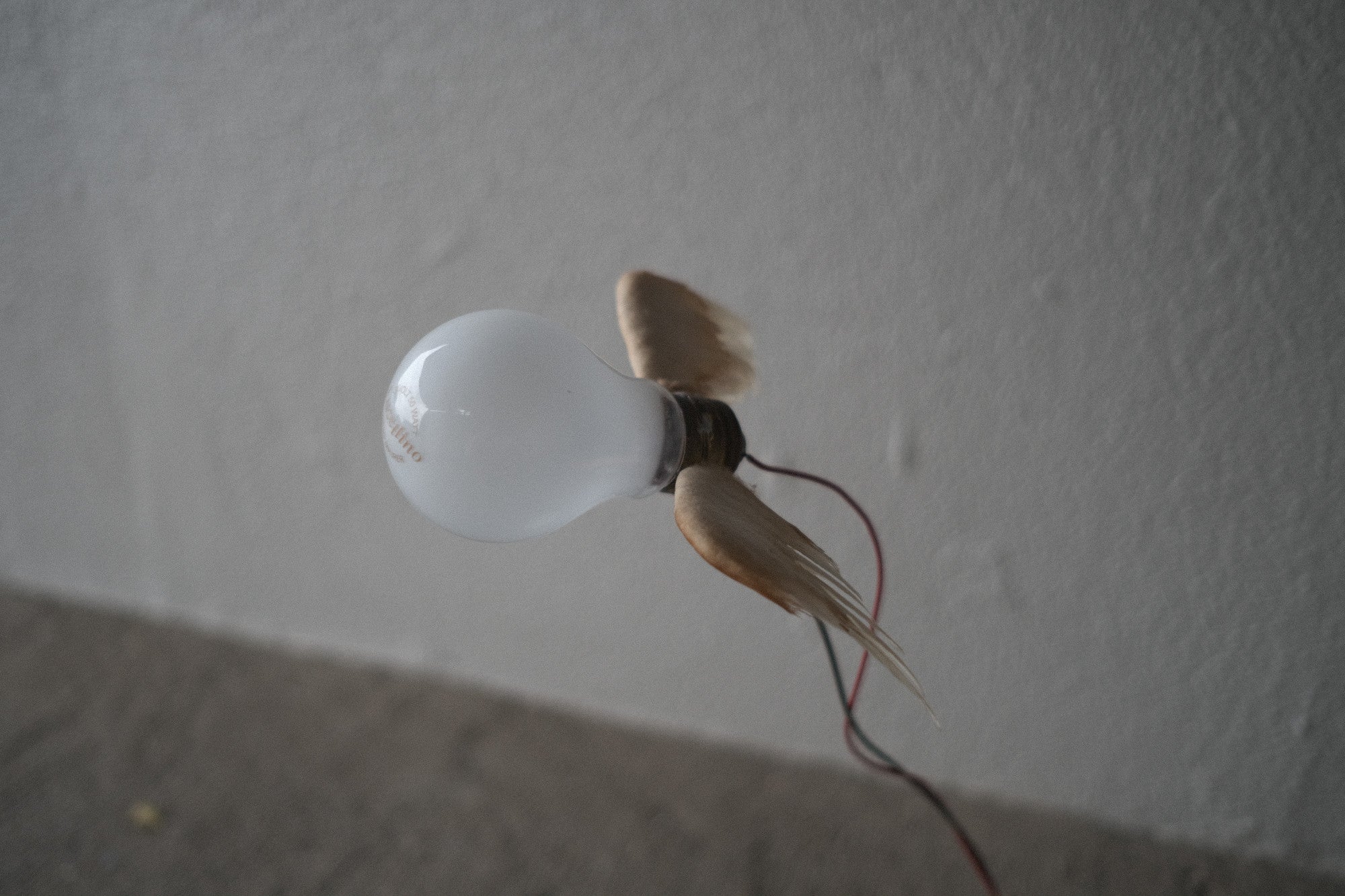 インゴマウラー ルーチェリーノ ランプ 中古照明 羽のアート スタジオノイ INGO MAURER Lucellino Lamp Studio NOI