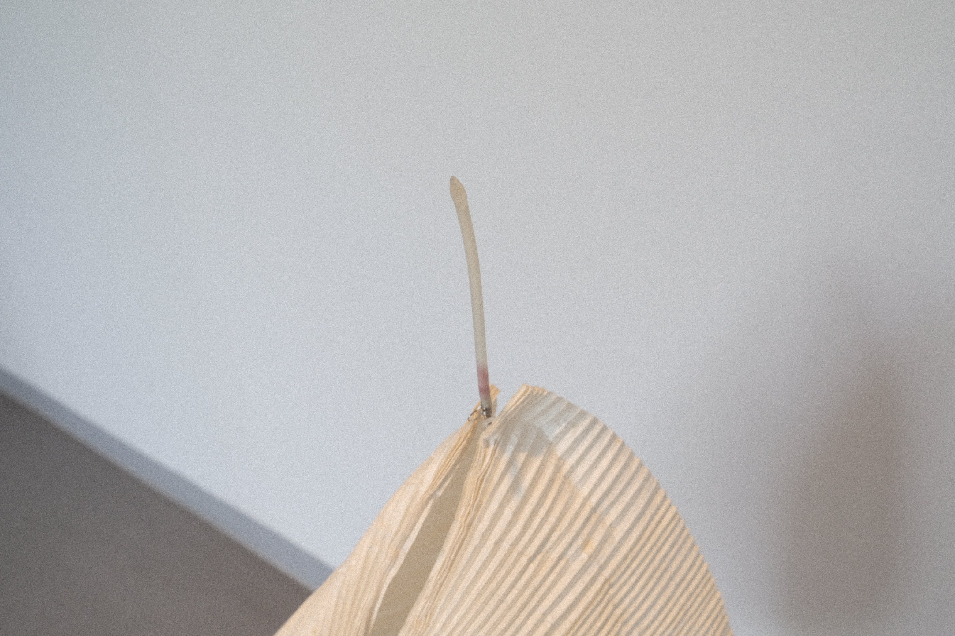 インゴマウラー 中古照明 フロアスタンド ガク スタジオノイ INGO MAURER GAKU Studio NOI
