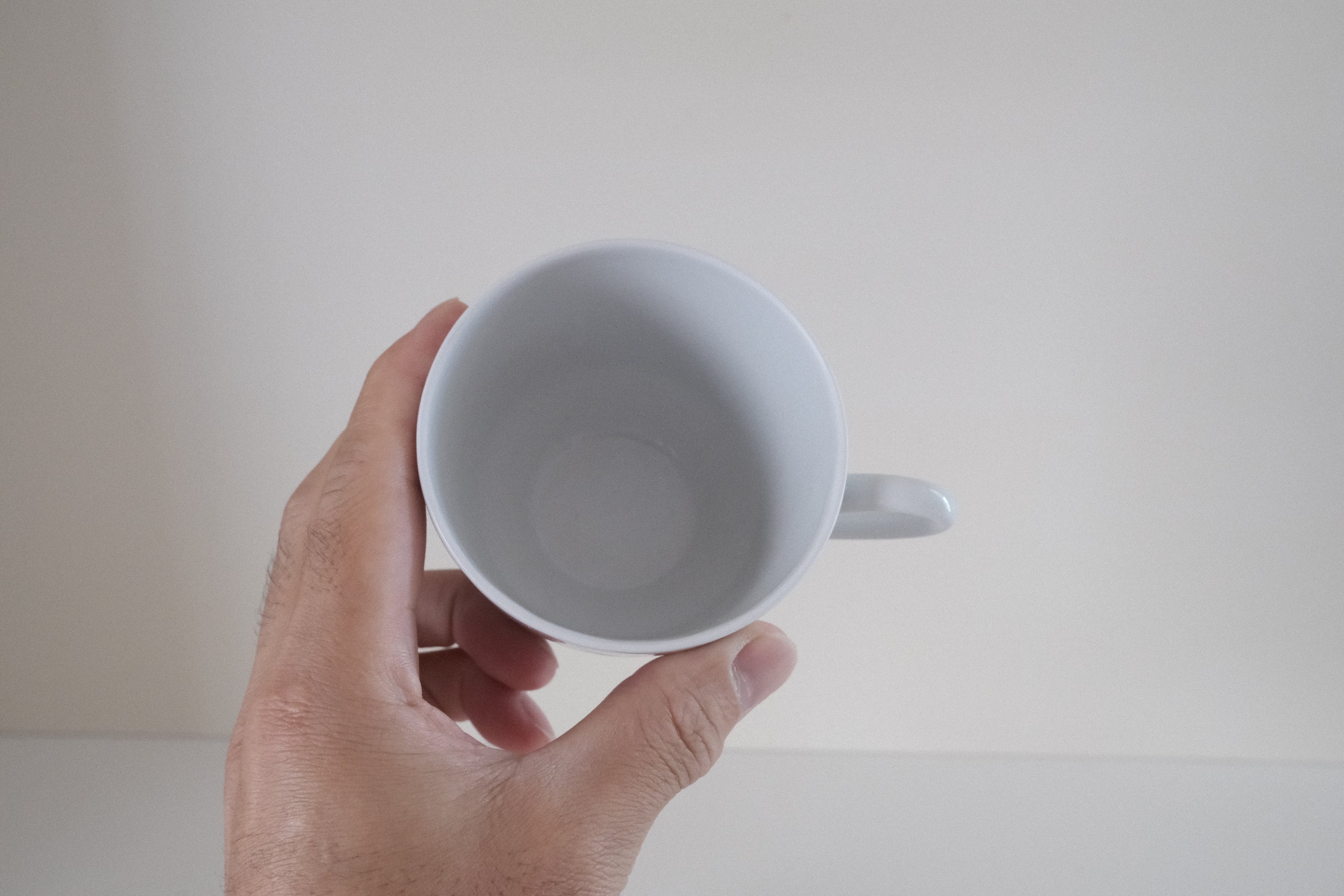 【残り2客・希少品】Royal Copenhagen GEMMA カップ&ソーサー Gertrud Vasegaard デザイン