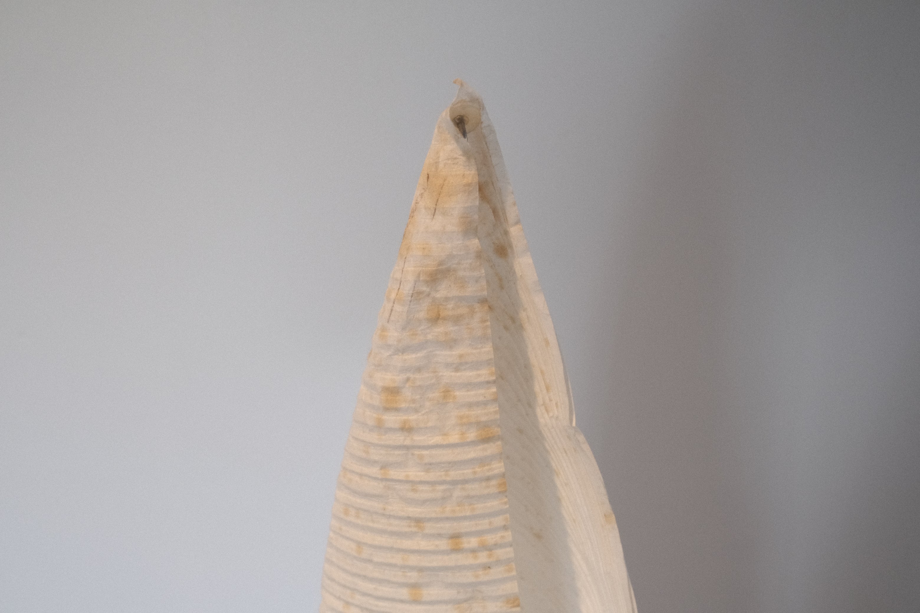 インゴマウラー ウートンブゥ2 詩的な照明 フロアスタンド スタジオノイ INGO MAURER Wo-Tum-Bu2 Studio NOI