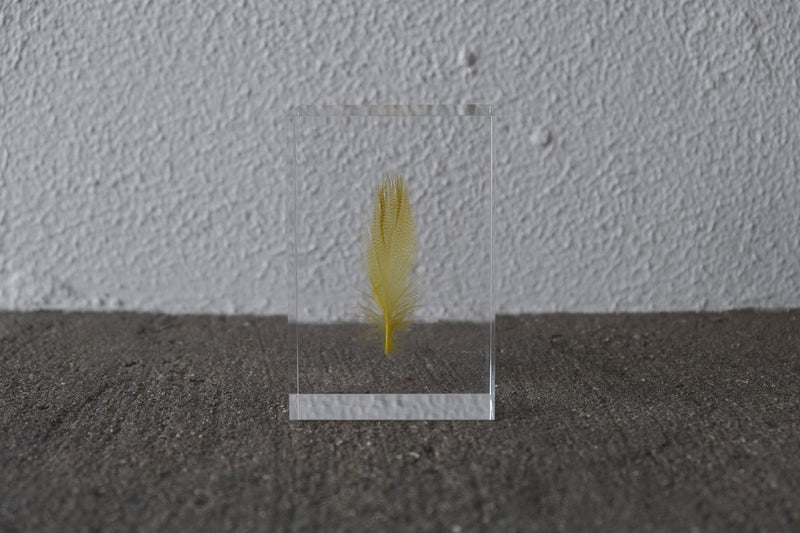 【希少】倉俣史朗 羽根の封印 Shiro Kuramata Floating Feather yellow