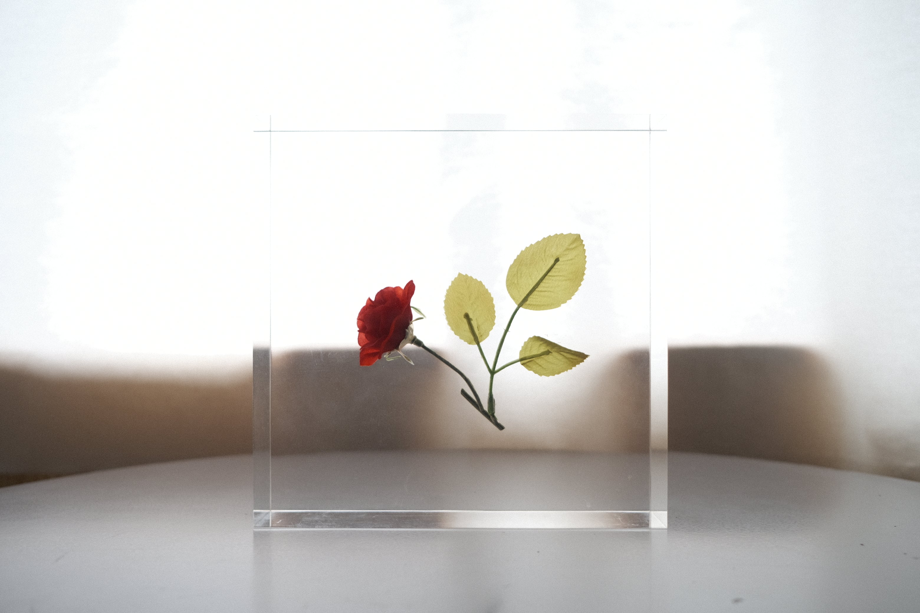 【希少作品】倉俣史朗《Sealing of Rose》― “ミス・ブランチ”と共に生まれた薔薇の封印