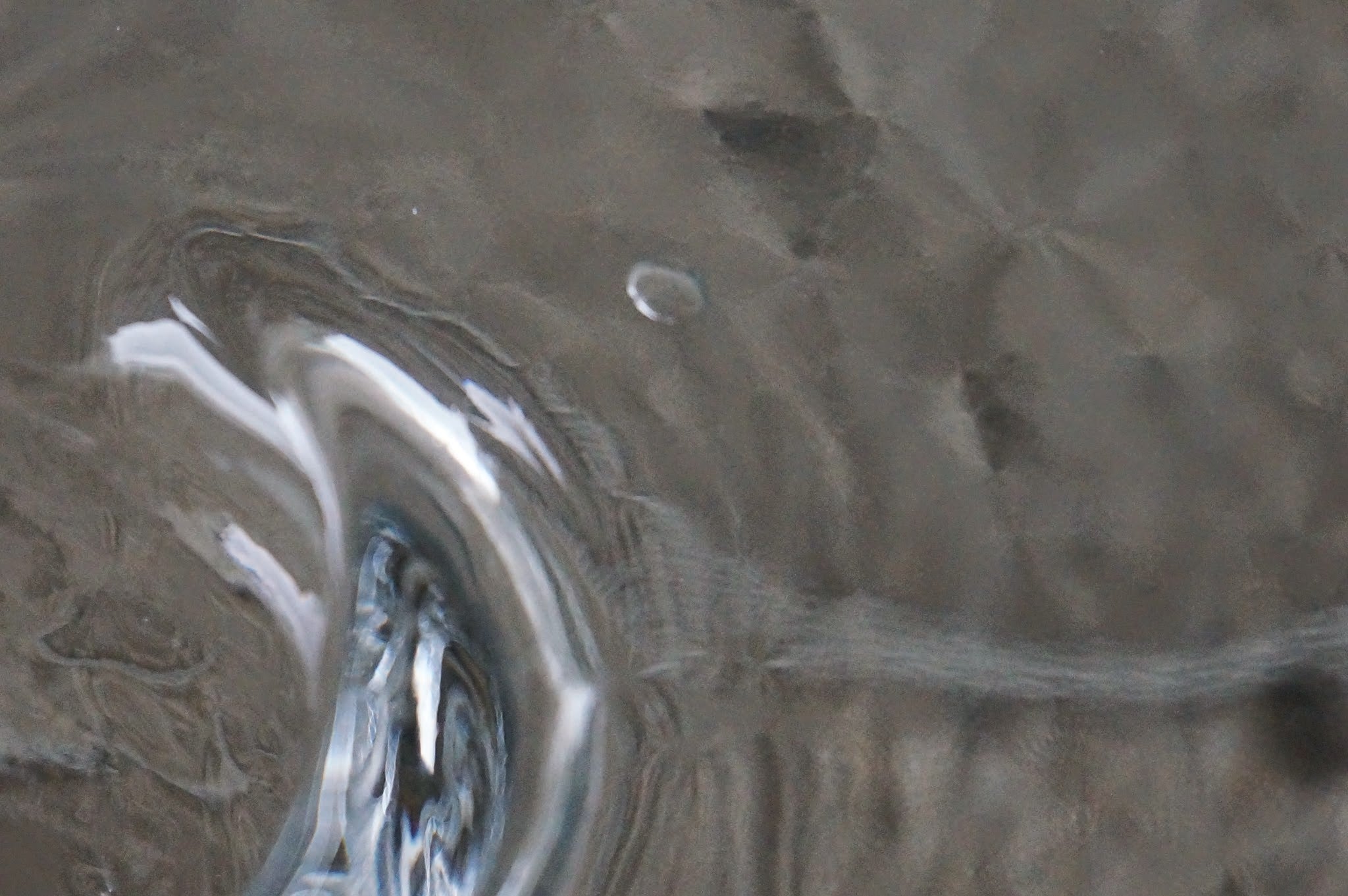 【希少・木枠成形】アルヴァ・アアルト 花瓶 クリア|ヴィンテージ Aalto vase Iittala 267mm