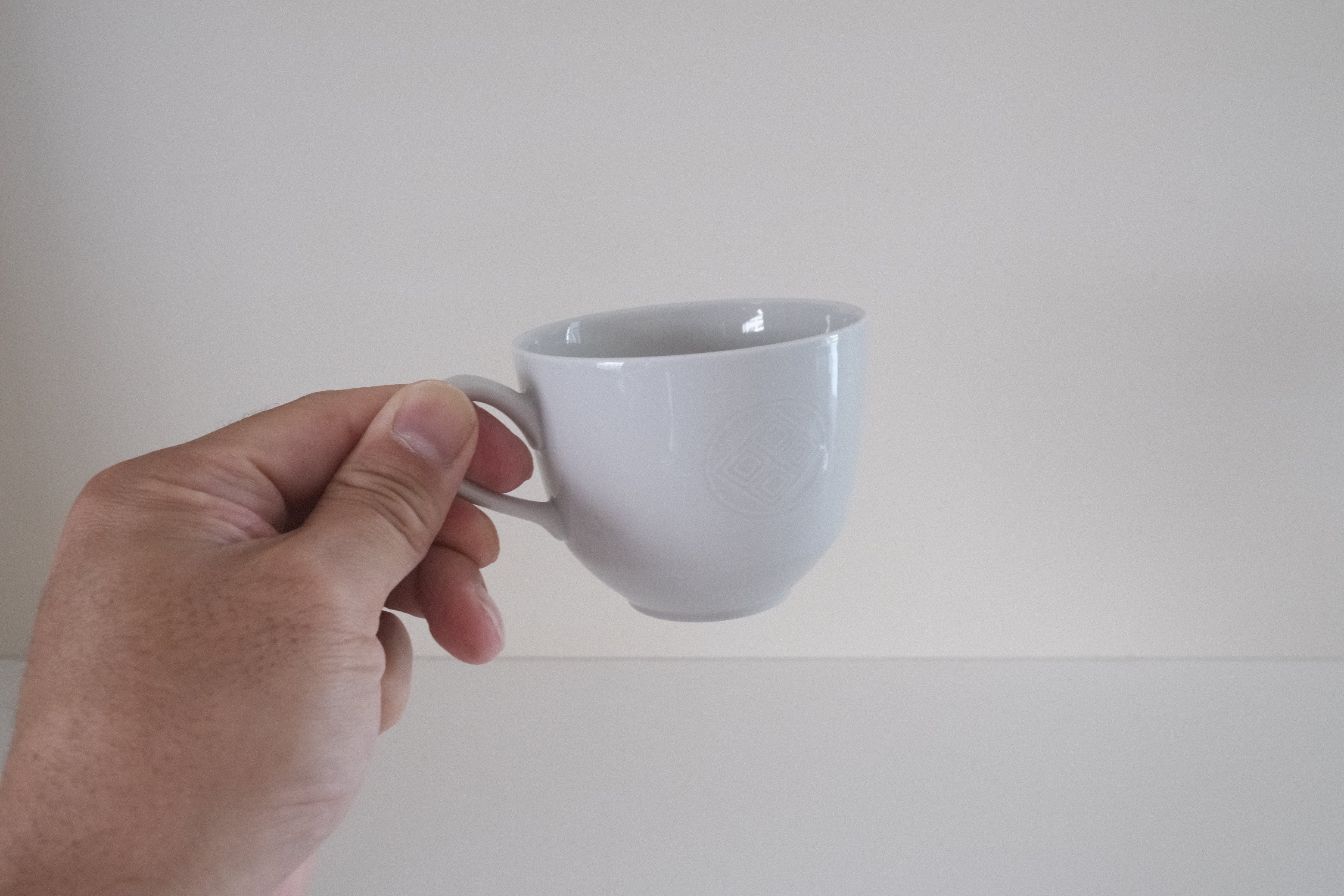 【残り2客・希少品】Royal Copenhagen GEMMA カップ&ソーサー Gertrud Vasegaard デザイン
