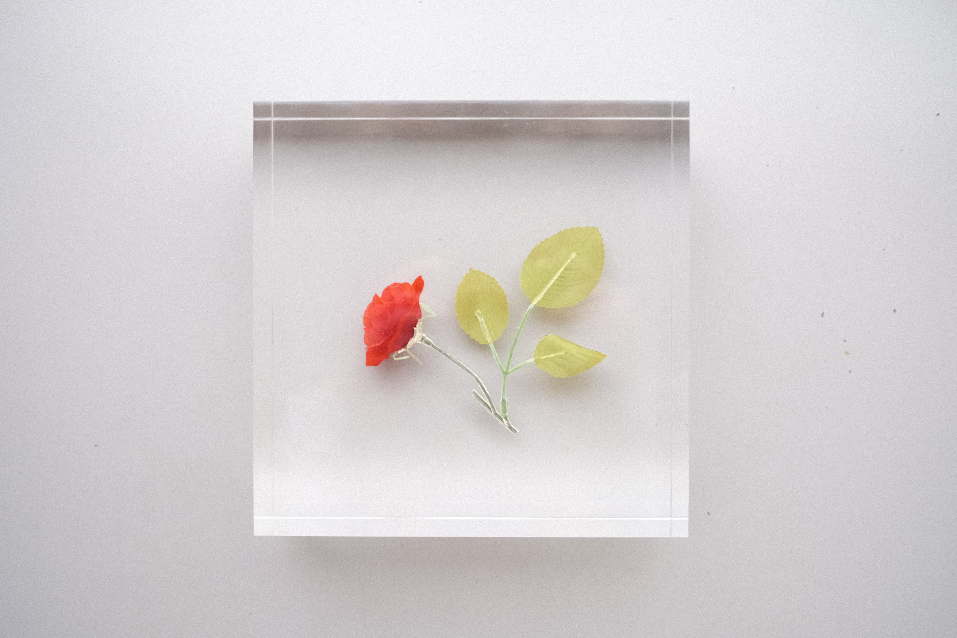 【希少作品】倉俣史朗《Sealing of Rose》― “ミス・ブランチ”と共に生まれた薔薇の封印