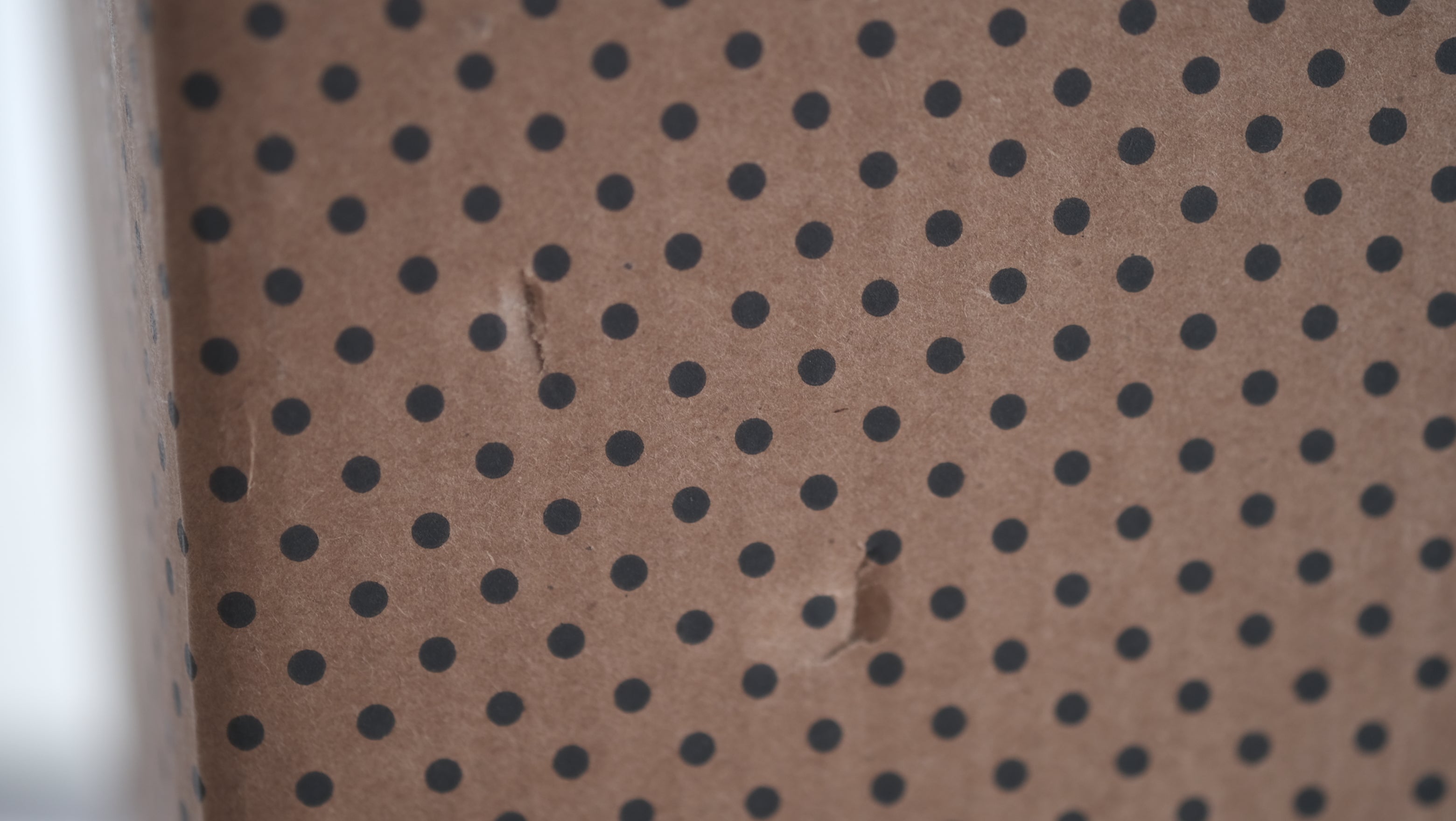 ALESSI メロディーホイッスルケトル|リチャード・サパー 9091|ステンレス製 やかん|新品・未使用