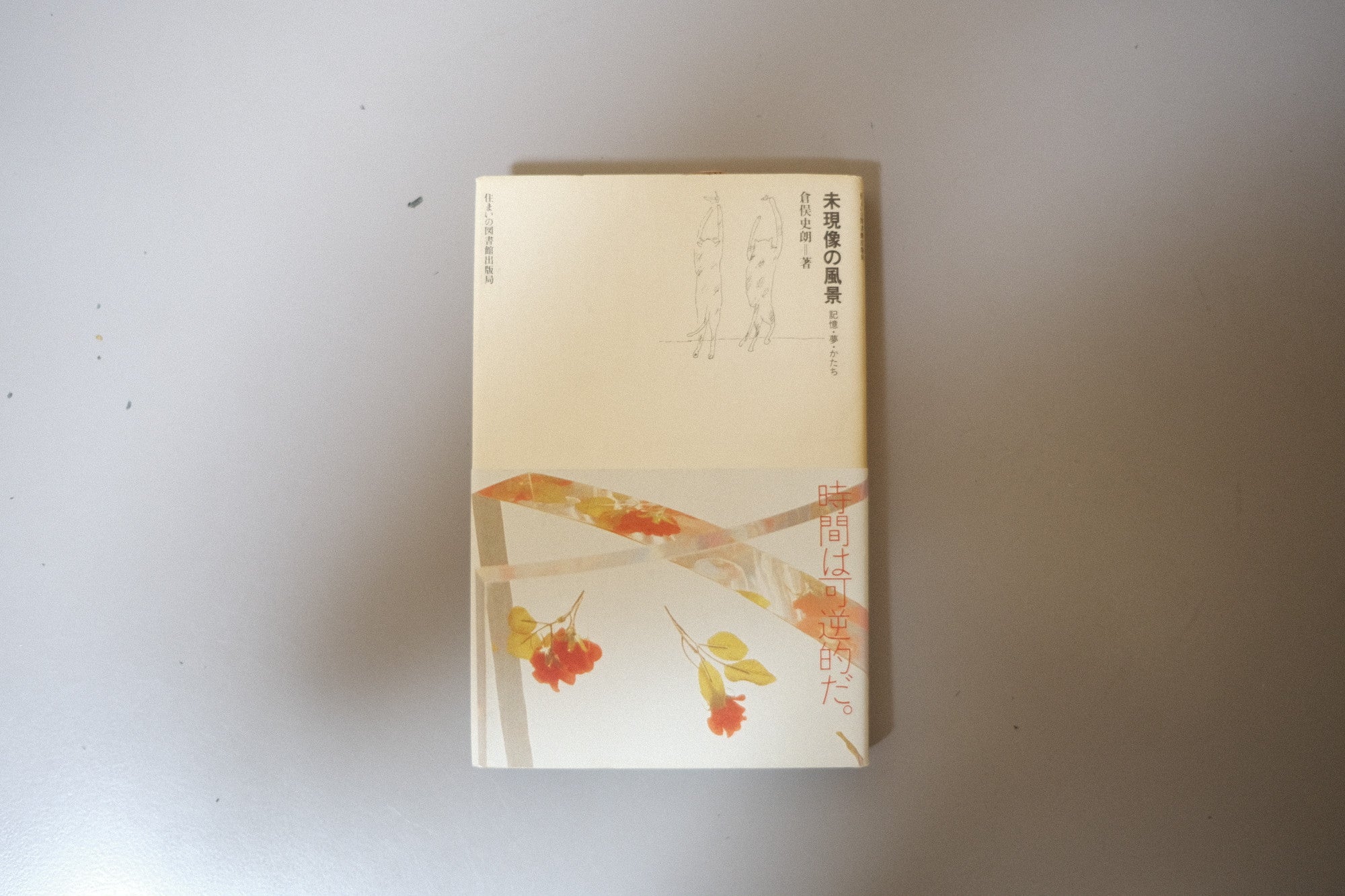 【希少書籍】未現像の風景―記憶・夢・かたち(住まい学大系)|倉俣史朗・著|1991年刊