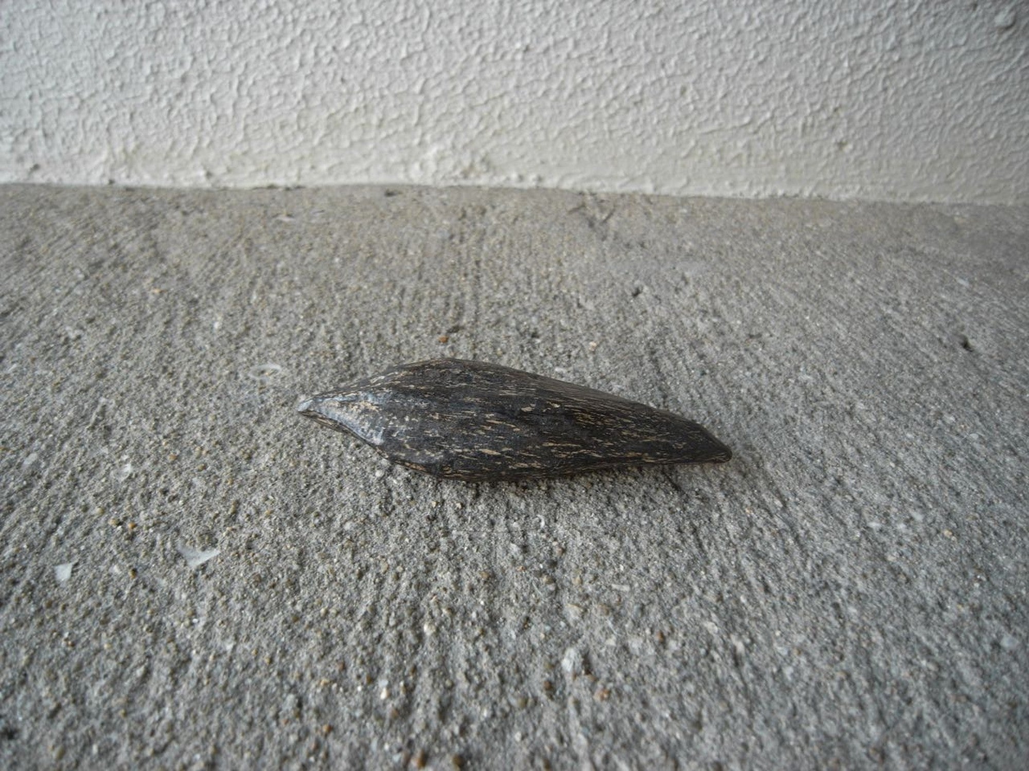 【希少・伽羅】香木の最高峰、静寂に漂う香り