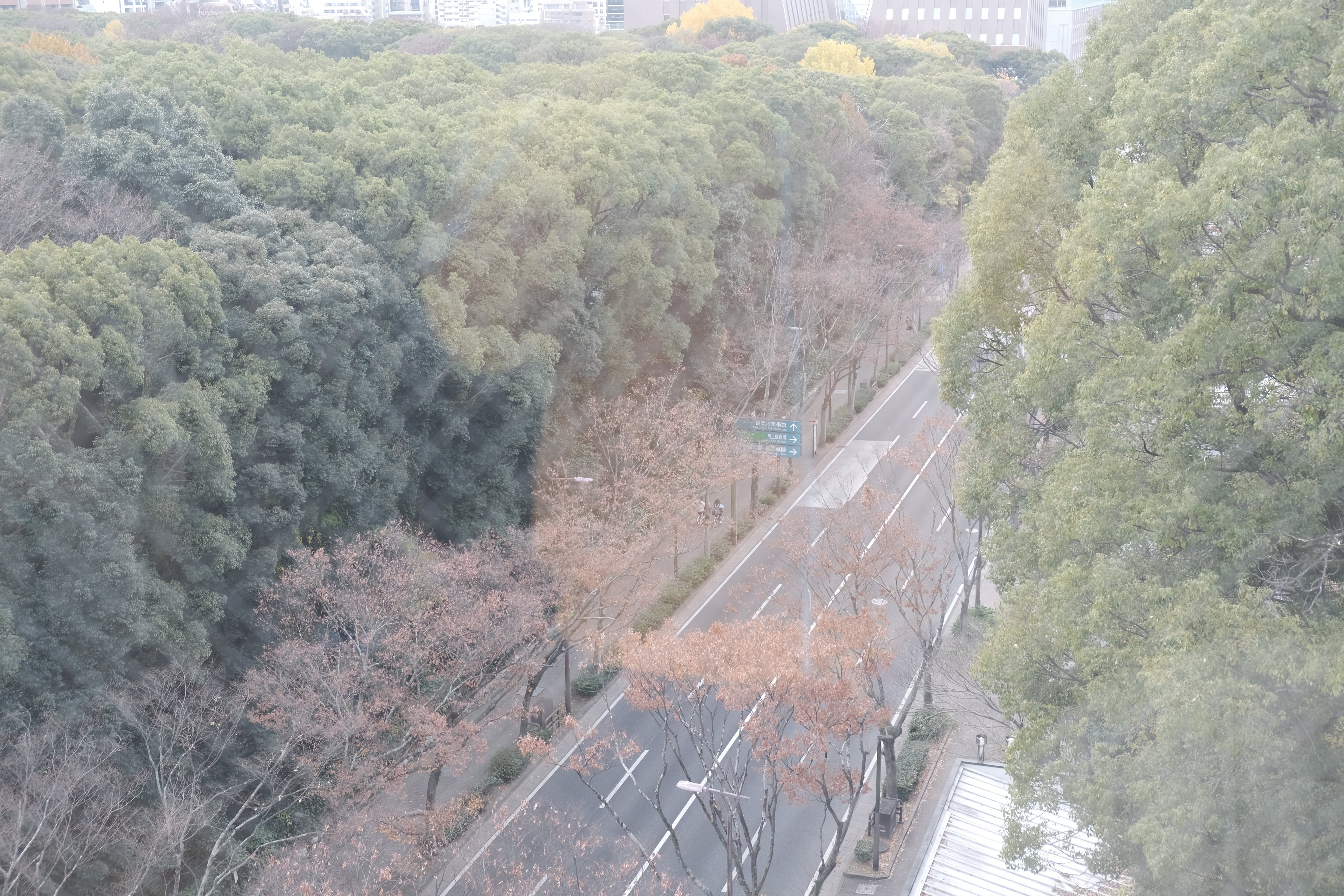 選ぶという行為は、年齢とともに変わっていく｜ヴィンテージ家具と価値の話