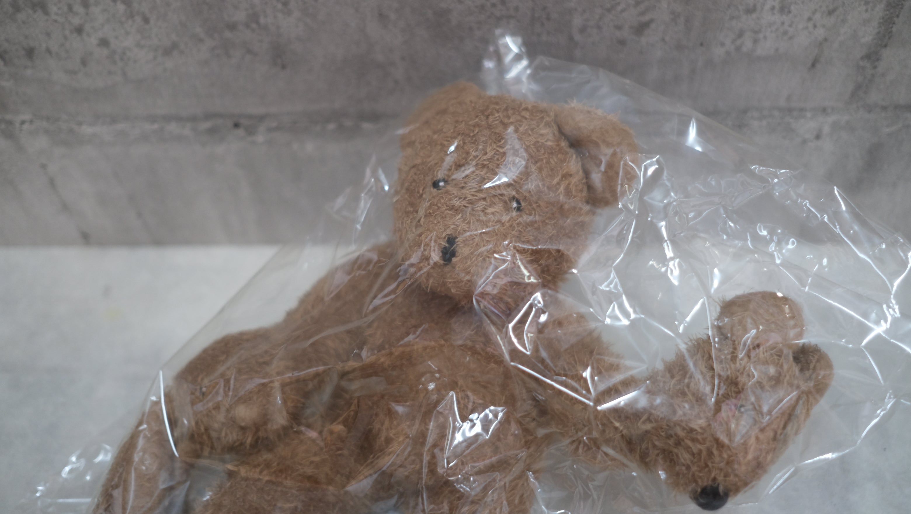 静かに寄り添う、デザインの贈りもの｜フィリップ・スタルク Teddy Bear Band